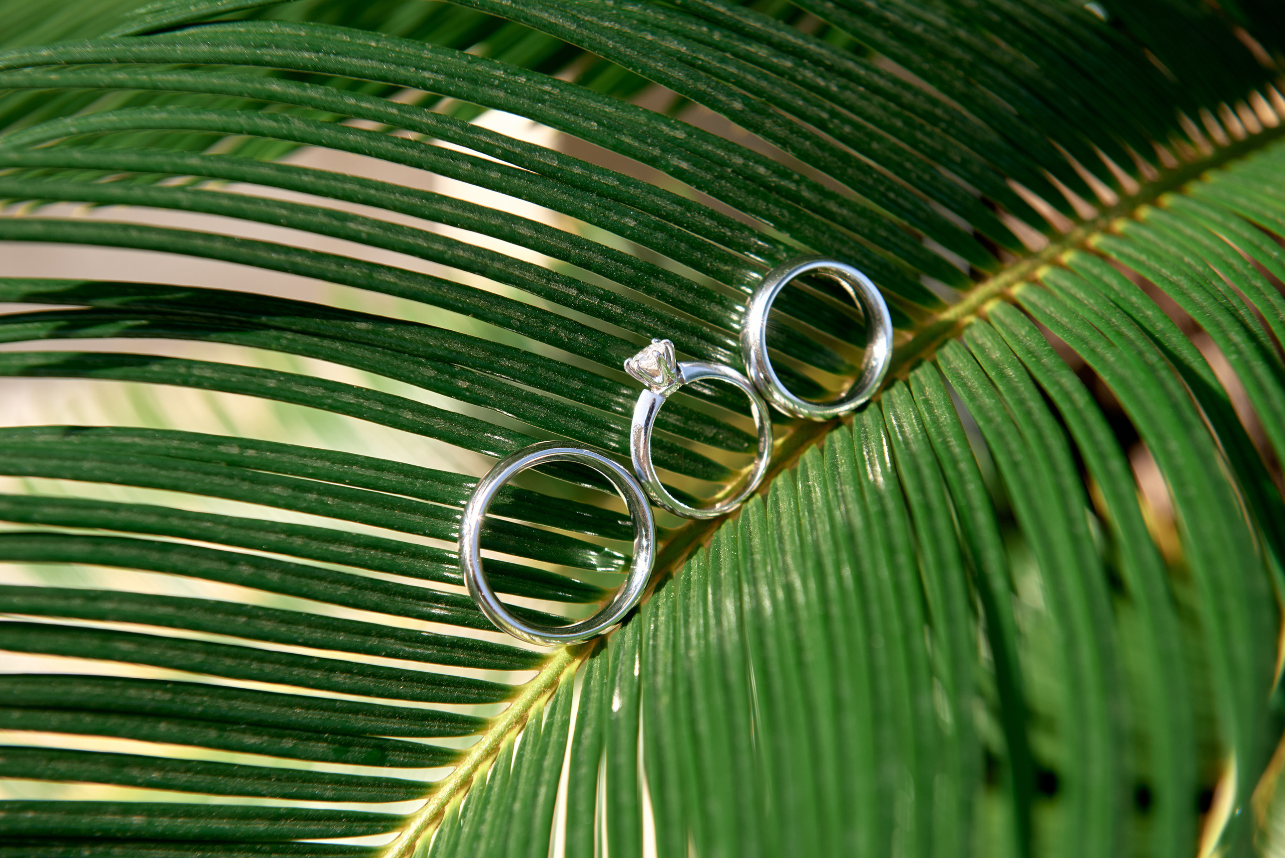 Wedding Photographer Vienna, Bratislava, Europe | Elegant, Timeless, Emotional