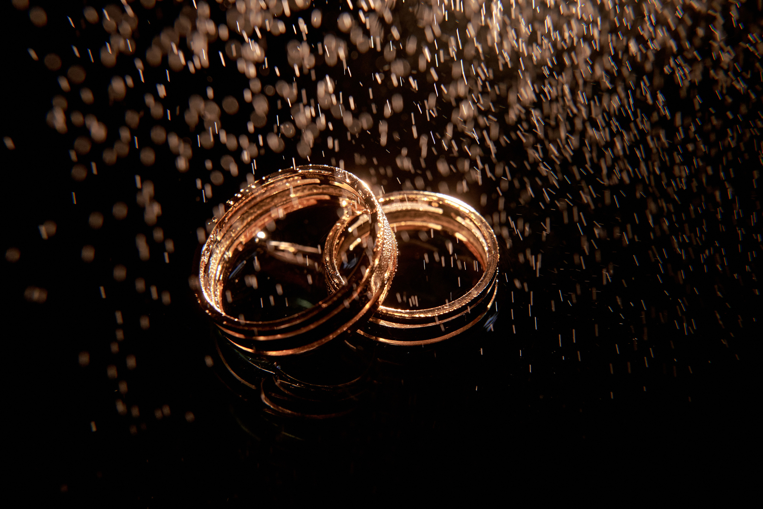 Portfolio. Wedding Photographer Vienna, Bratislava, Europe | Elegant, Timeless, Emotional