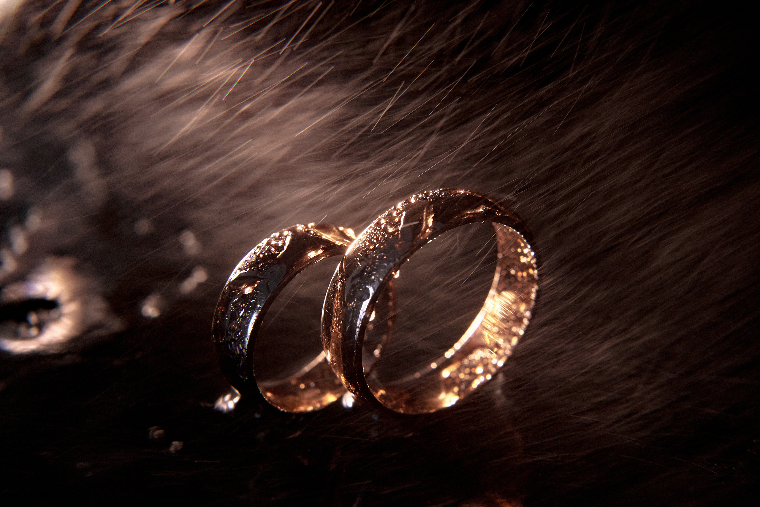 Portfolio. Wedding Photographer Vienna, Bratislava, Europe | Elegant, Timeless, Emotional