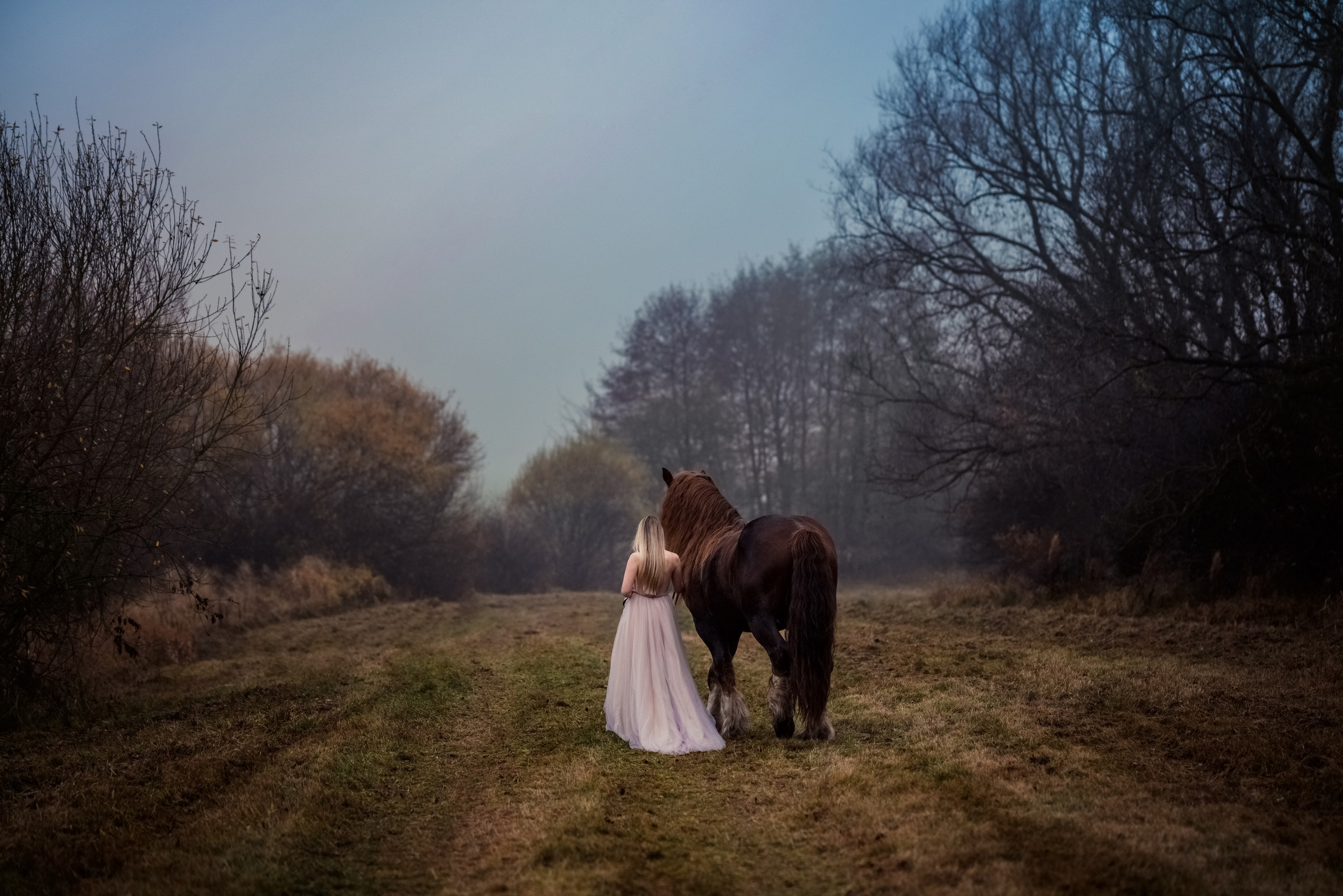 Фотосессия с лошадьми. Свадебный фотограф в Праге Покудова Наталия