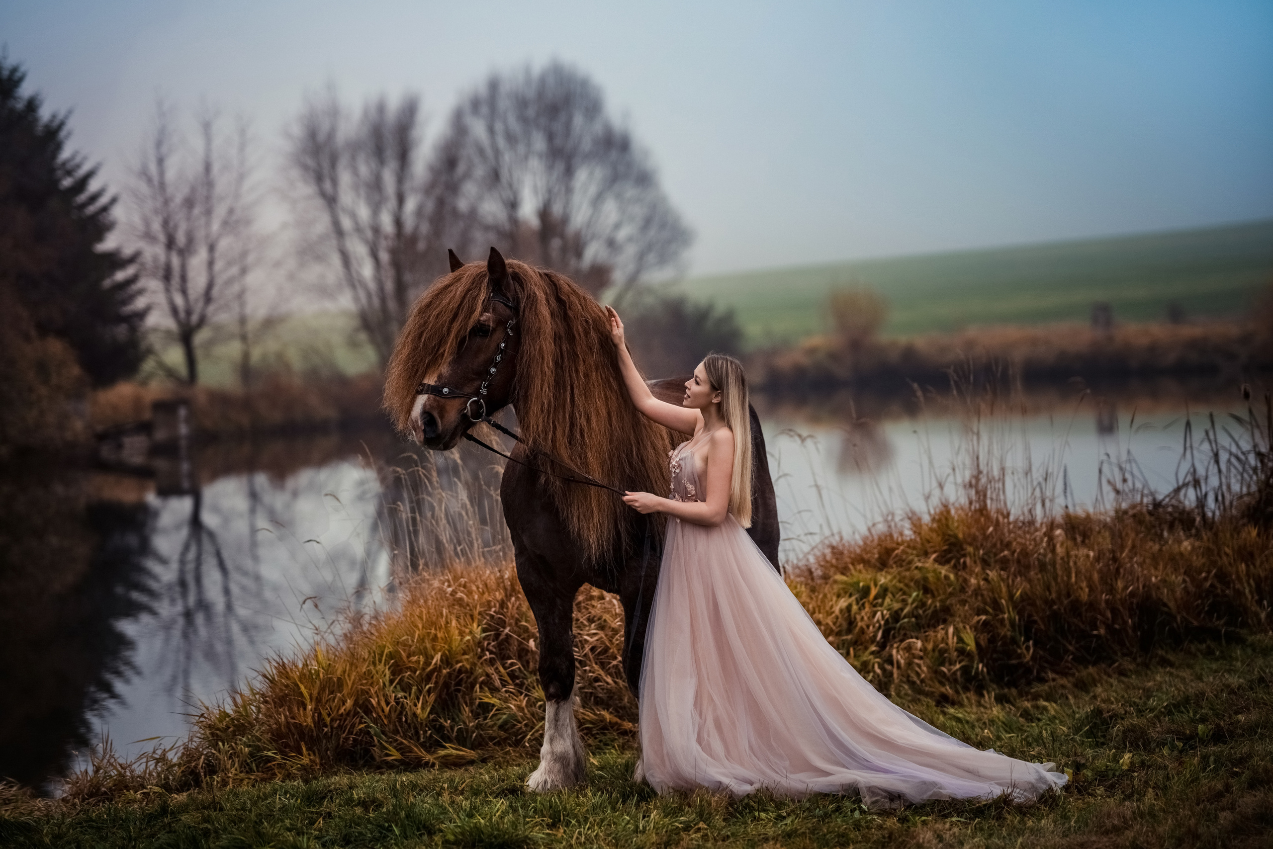 Фотосессия с лошадьми. Свадебный фотограф в Праге Покудова Наталия