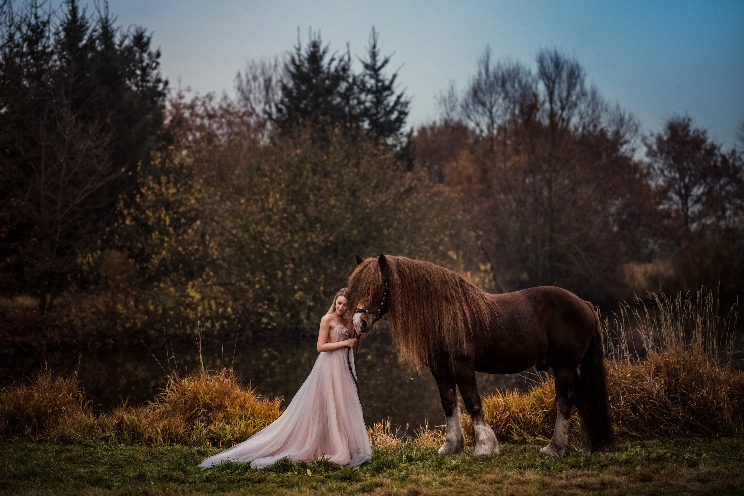 Фотосессия с лошадьми. Свадебный фотограф в Праге Покудова Наталия