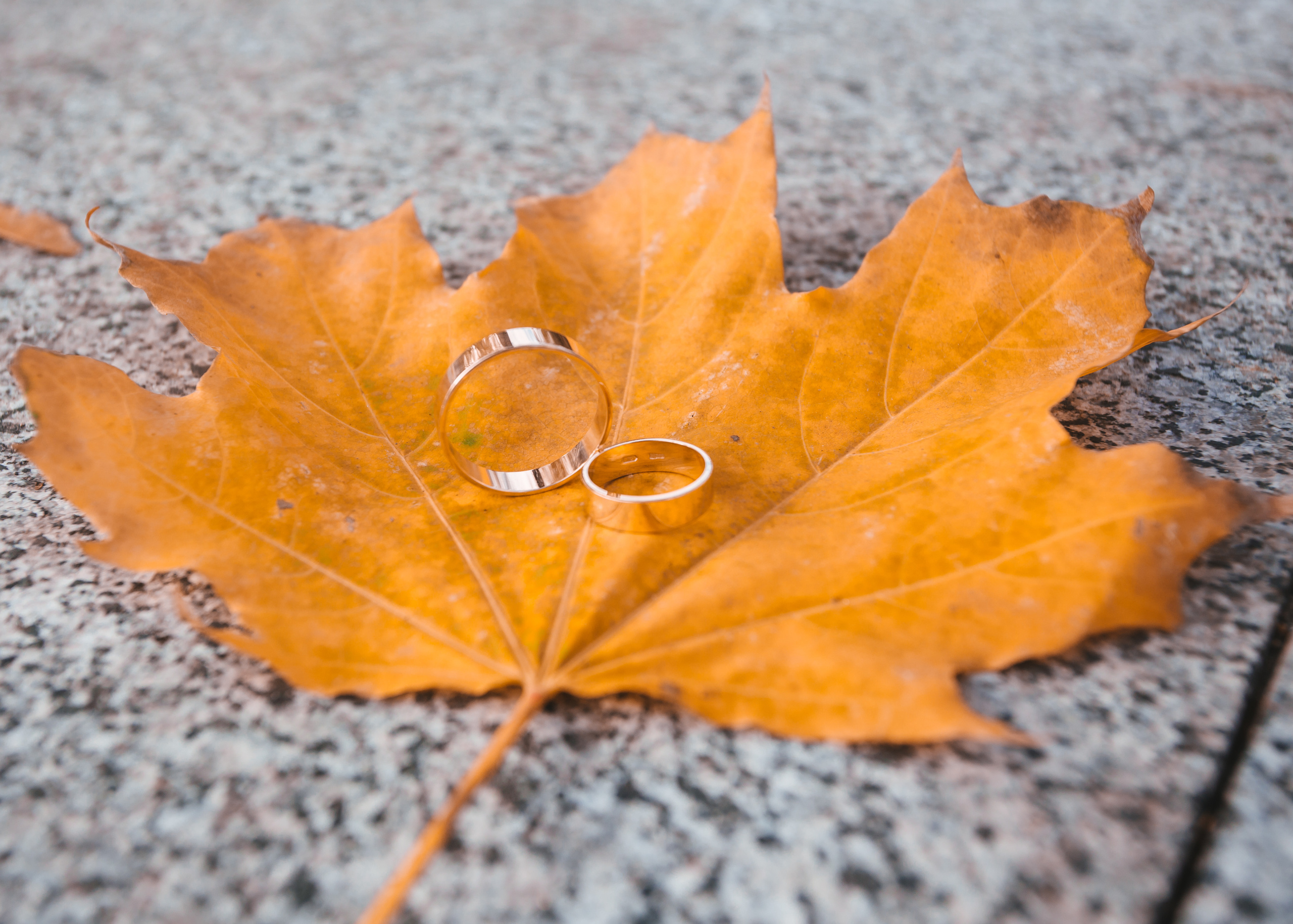 Свадьба Алины и Стаса. Фотограф в Днепре Марк Качуро