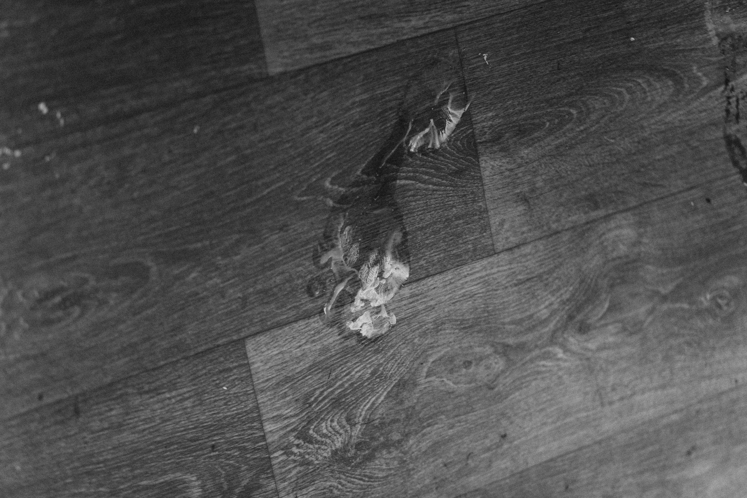 Алена. Фотограф в Дніпрі Марк Качуро