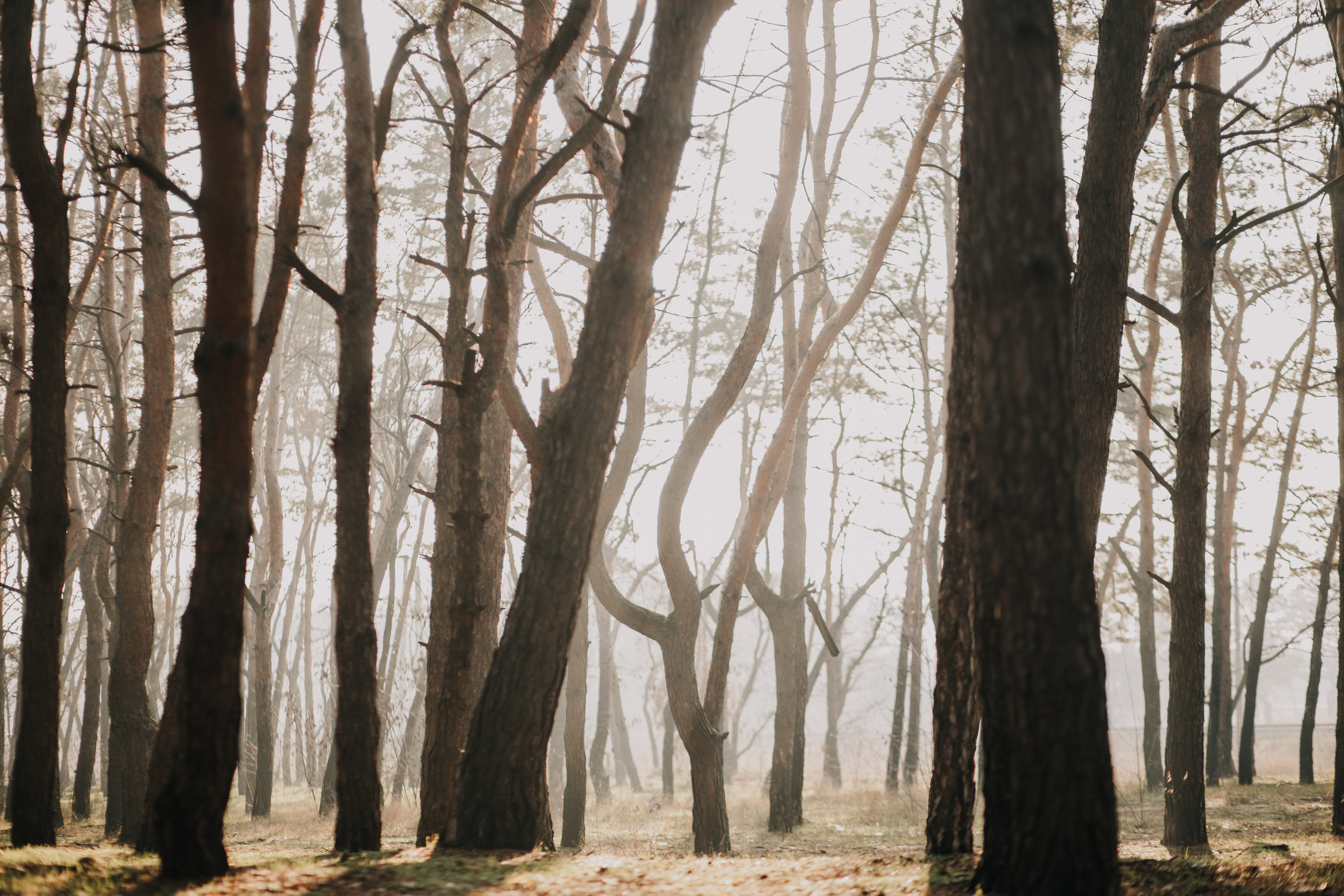 Таня и Сережа. Photographer Dnipro