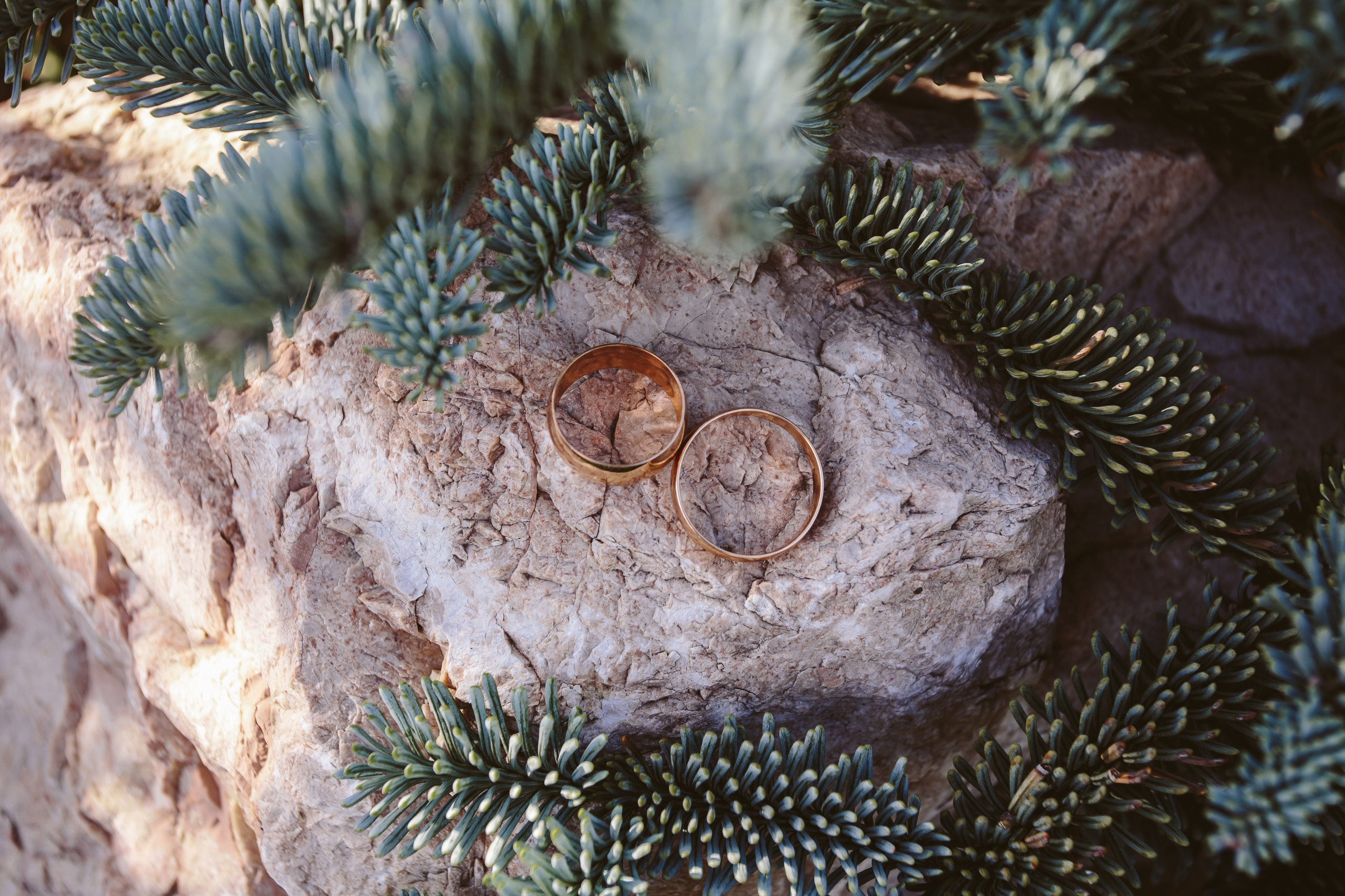 Свадьба Анны и Артема 16.10.2020. Фотограф в Днепре Марк Качуро