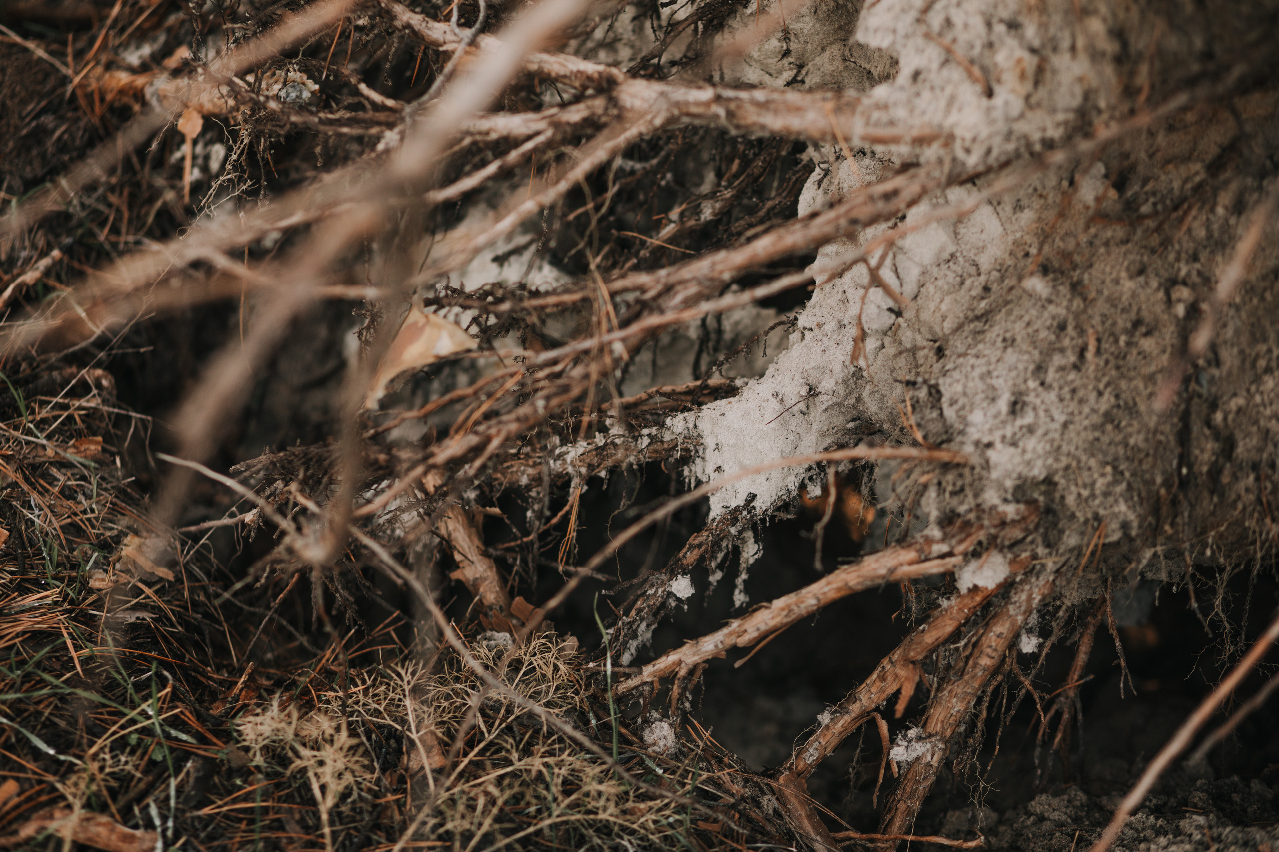 Таня и Сережа. Photographer Dnipro