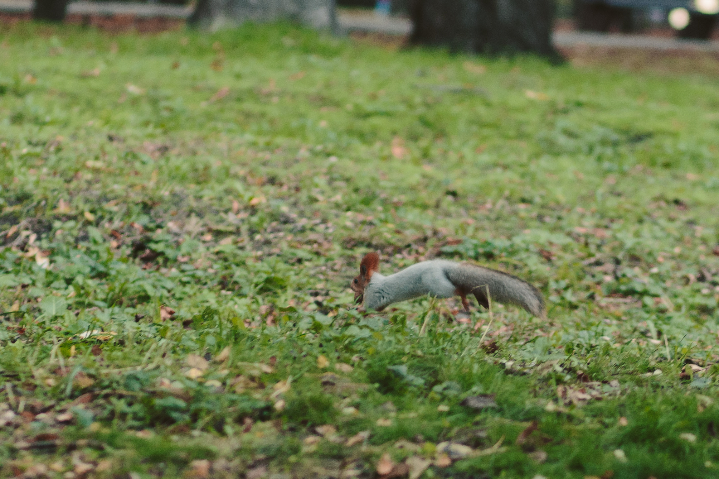 Дани и Настя. Фотограф в Дніпрі Марк Качуро