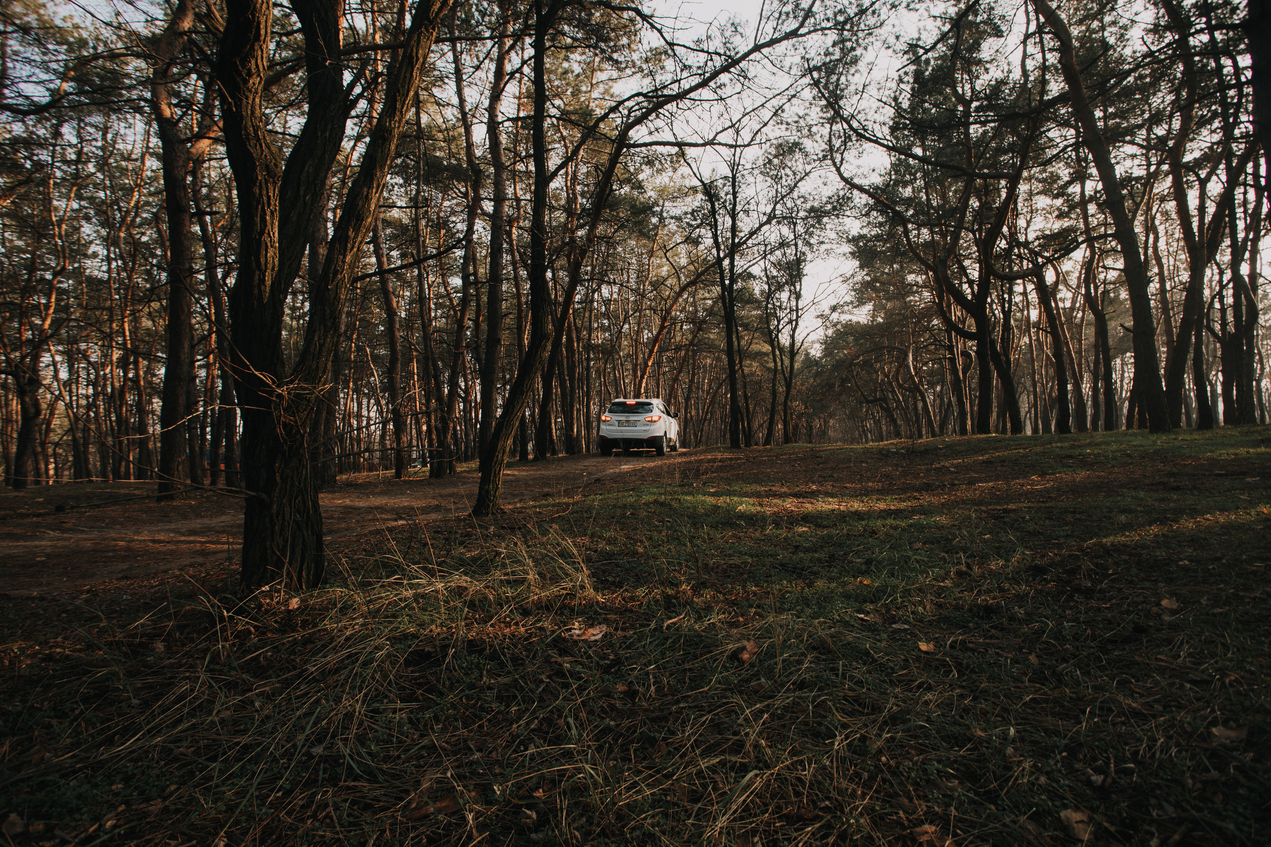 Таня и Сережа. Photographer Dnipro