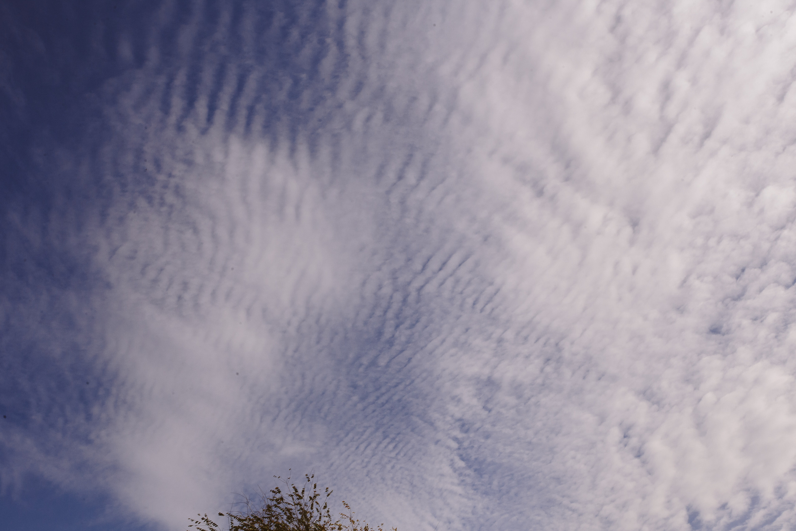 Свадьба Анны и Артема 16.10.2020. Фотограф в Днепре Марк Качуро