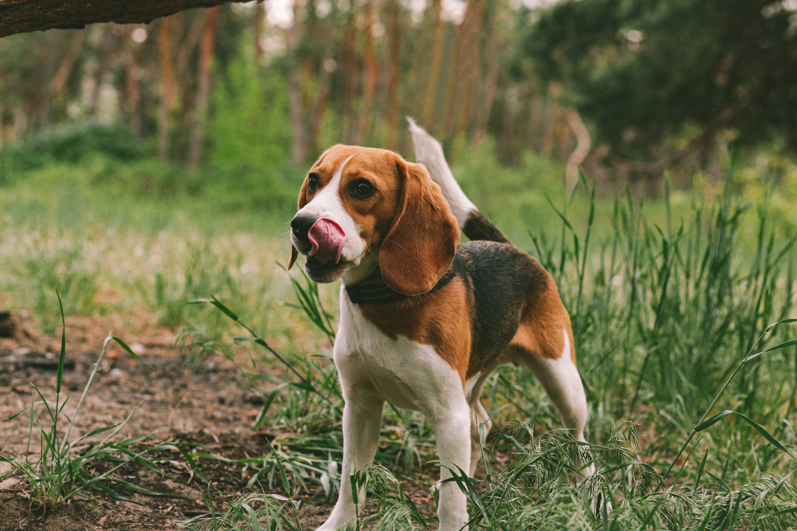 Марина Женя и Марк. Фотограф в Дніпрі Марк Качуро