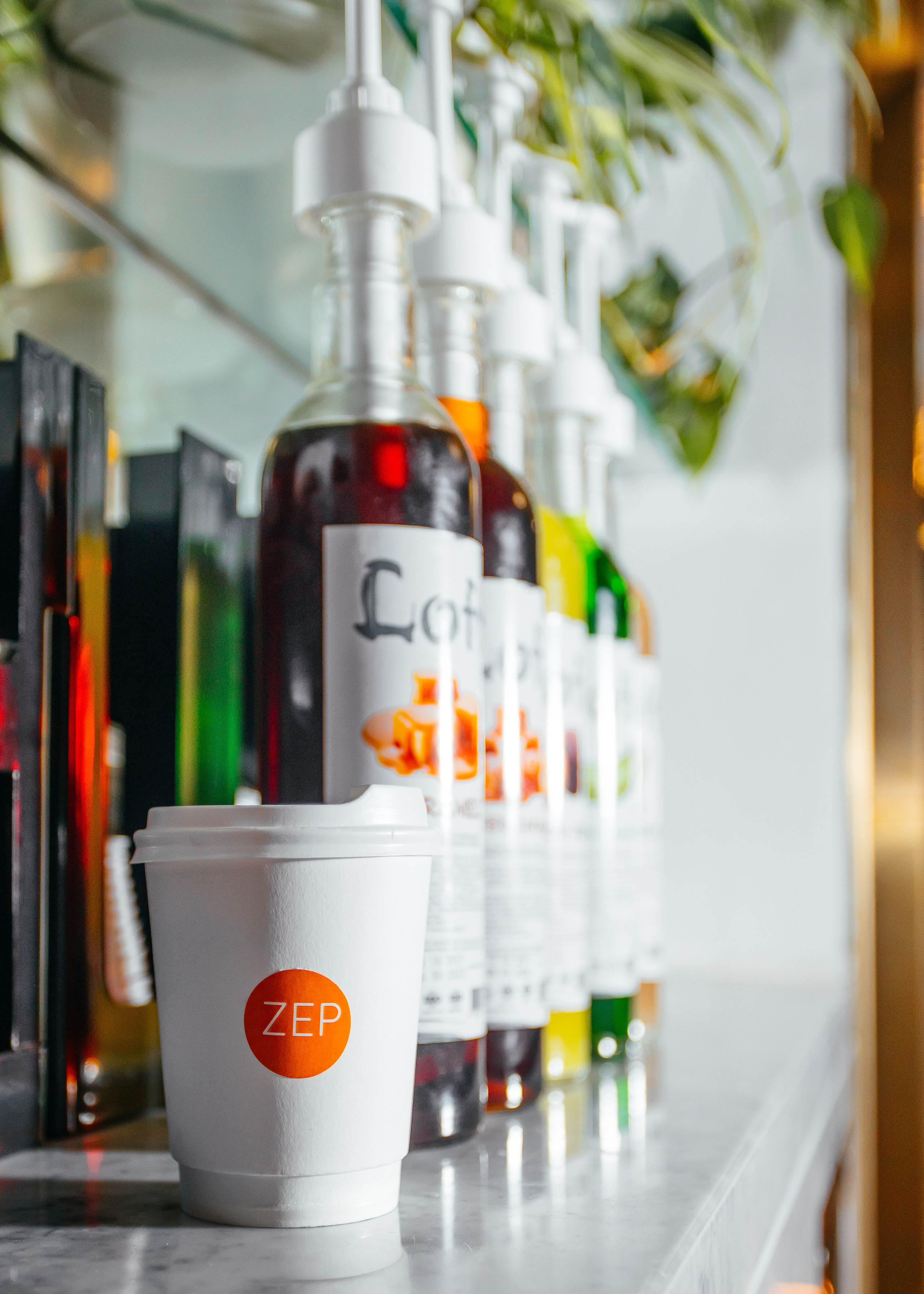 Zep. Фотограф в Днепре Марк Качуро