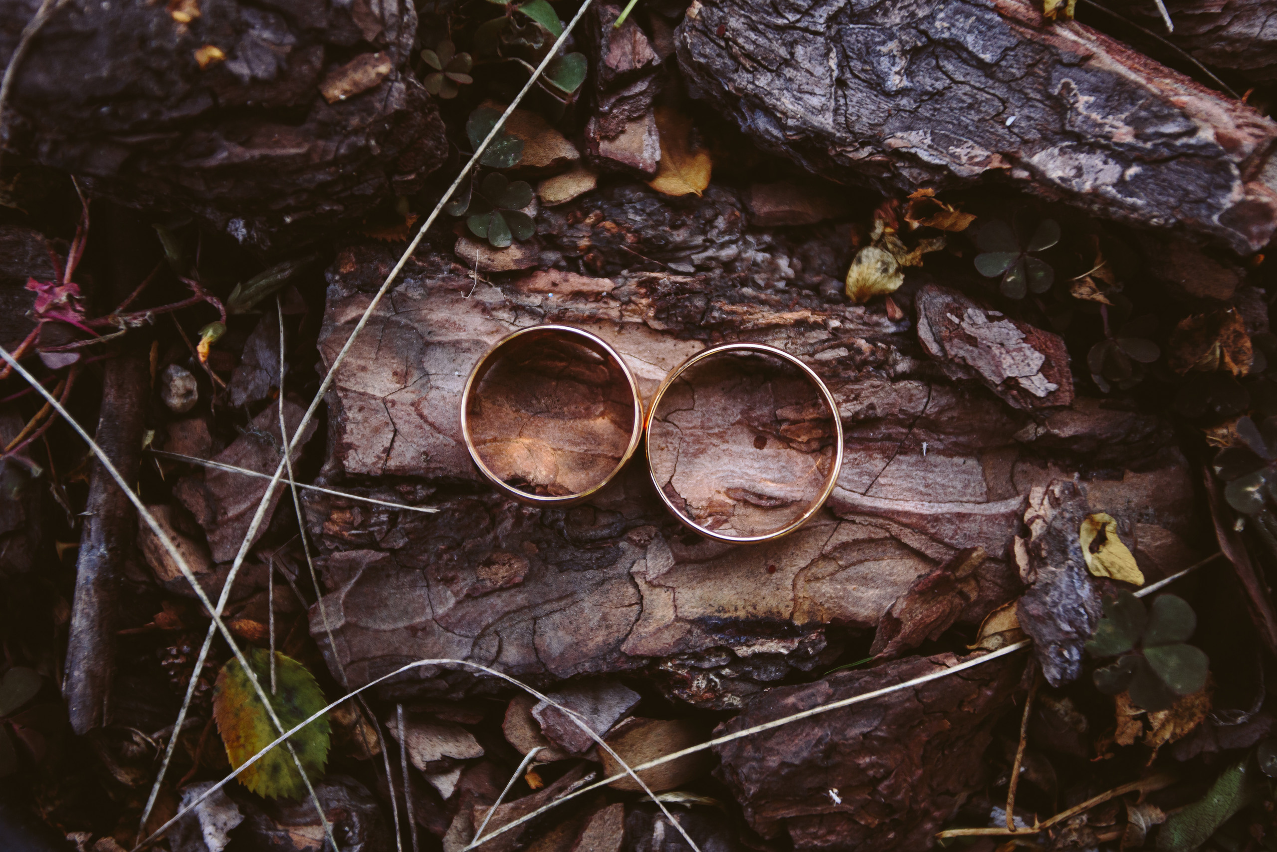Свадьба Анны и Артема 16.10.2020. Фотограф в Днепре Марк Качуро