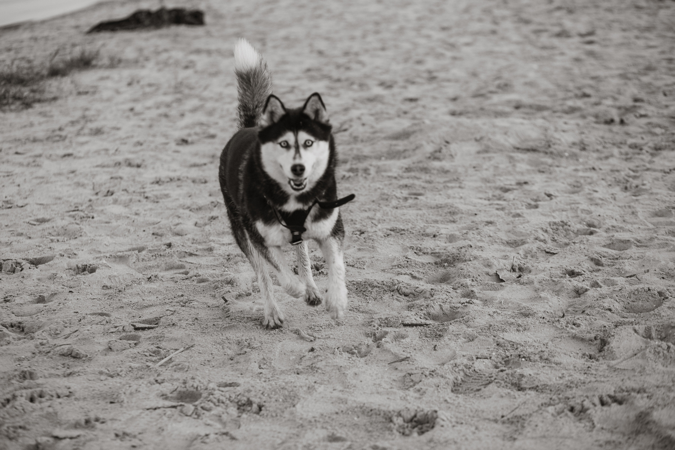 Дани и Настя. Фотограф в Дніпрі Марк Качуро