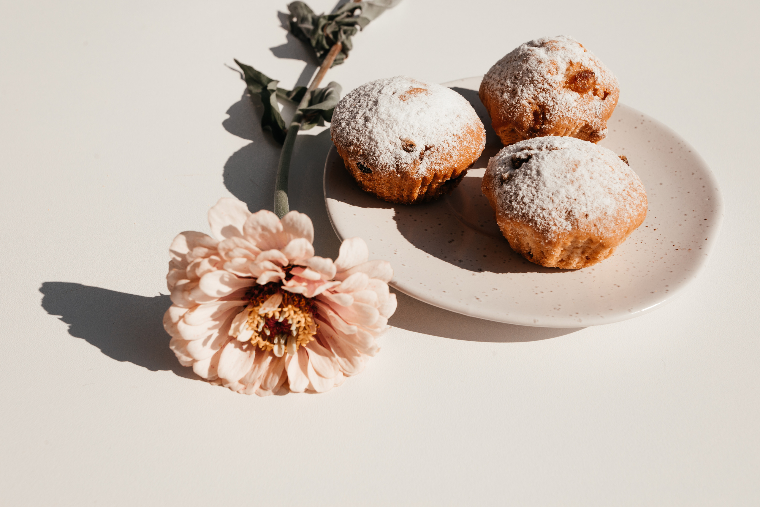 Кофейня Tati Lav cake. Photographer Dnipro