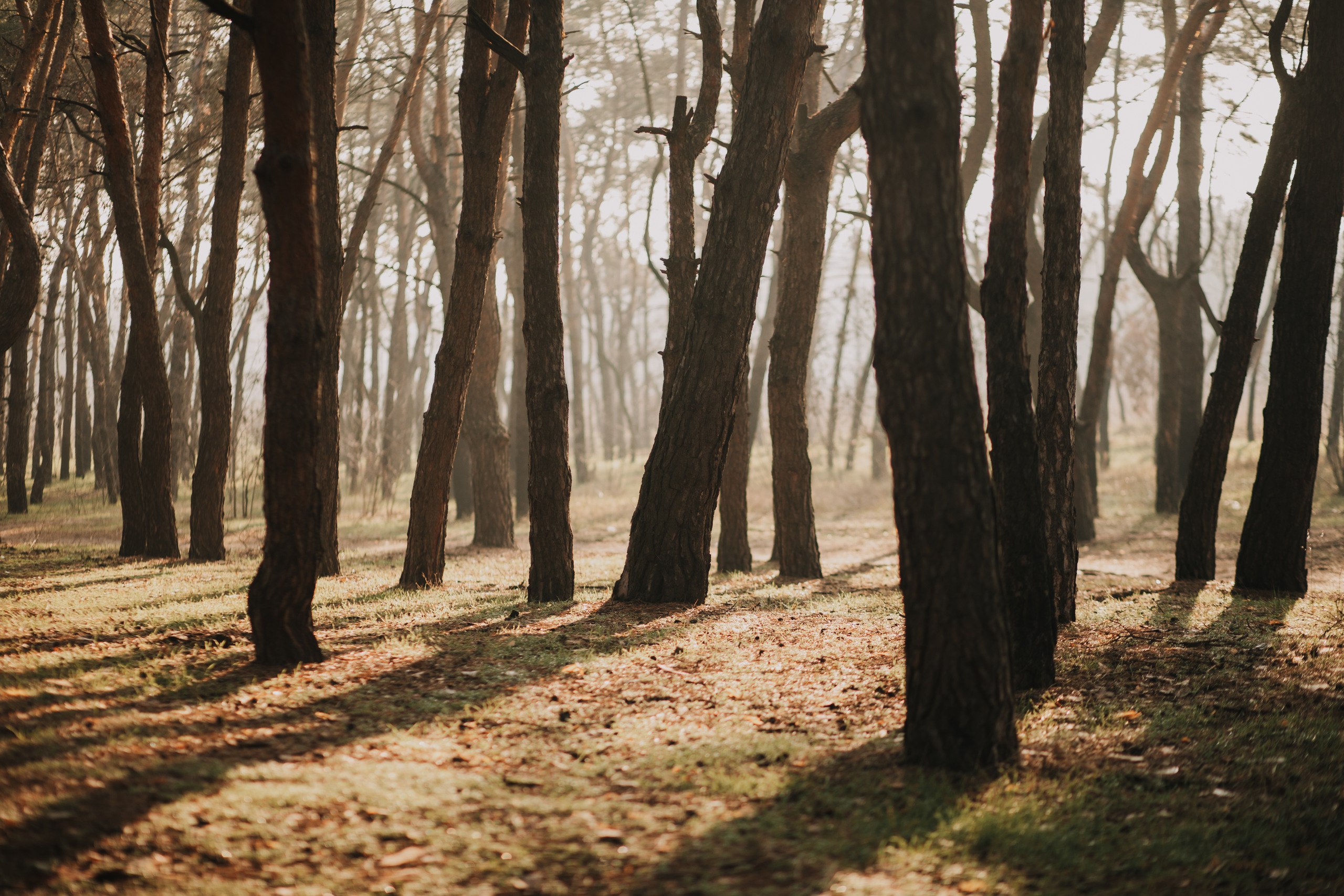 Таня и Сережа. Photographer Dnipro