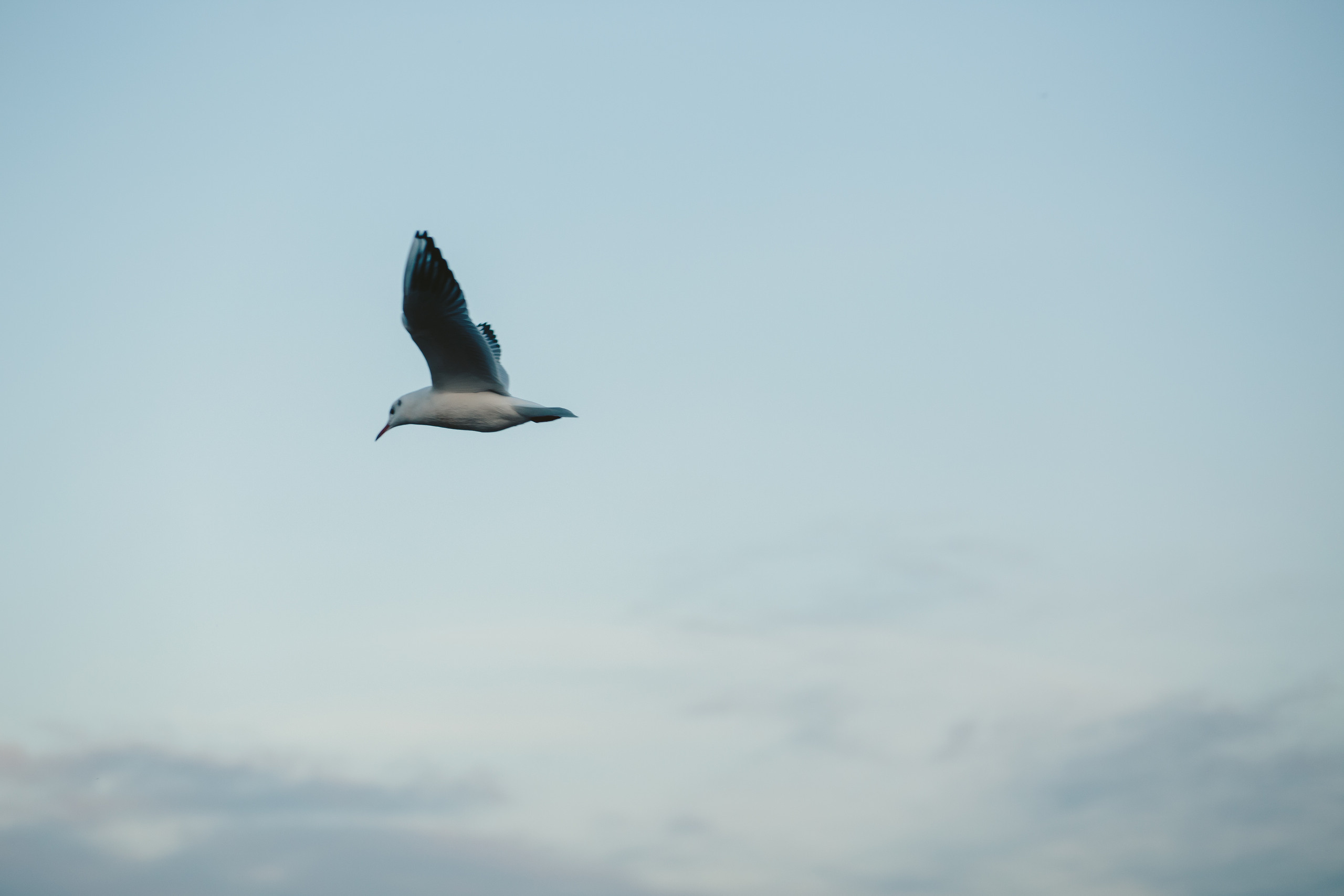 Дани и Настя. Фотограф в Дніпрі Марк Качуро