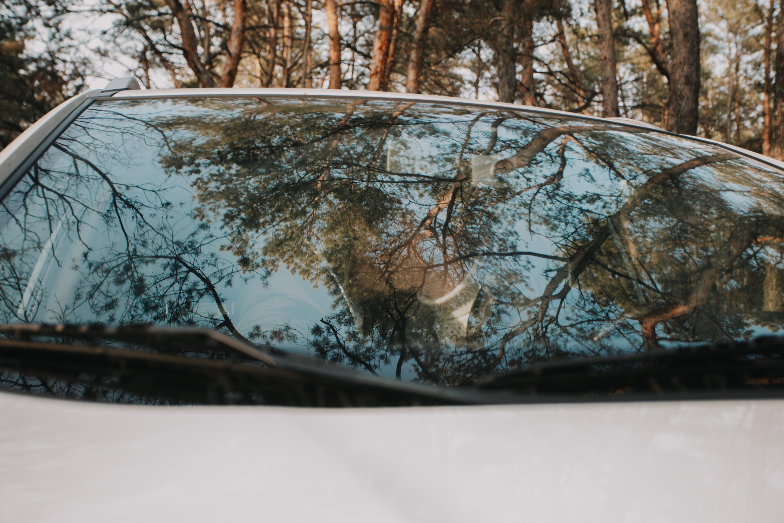 Таня и Сережа. Photographer Dnipro