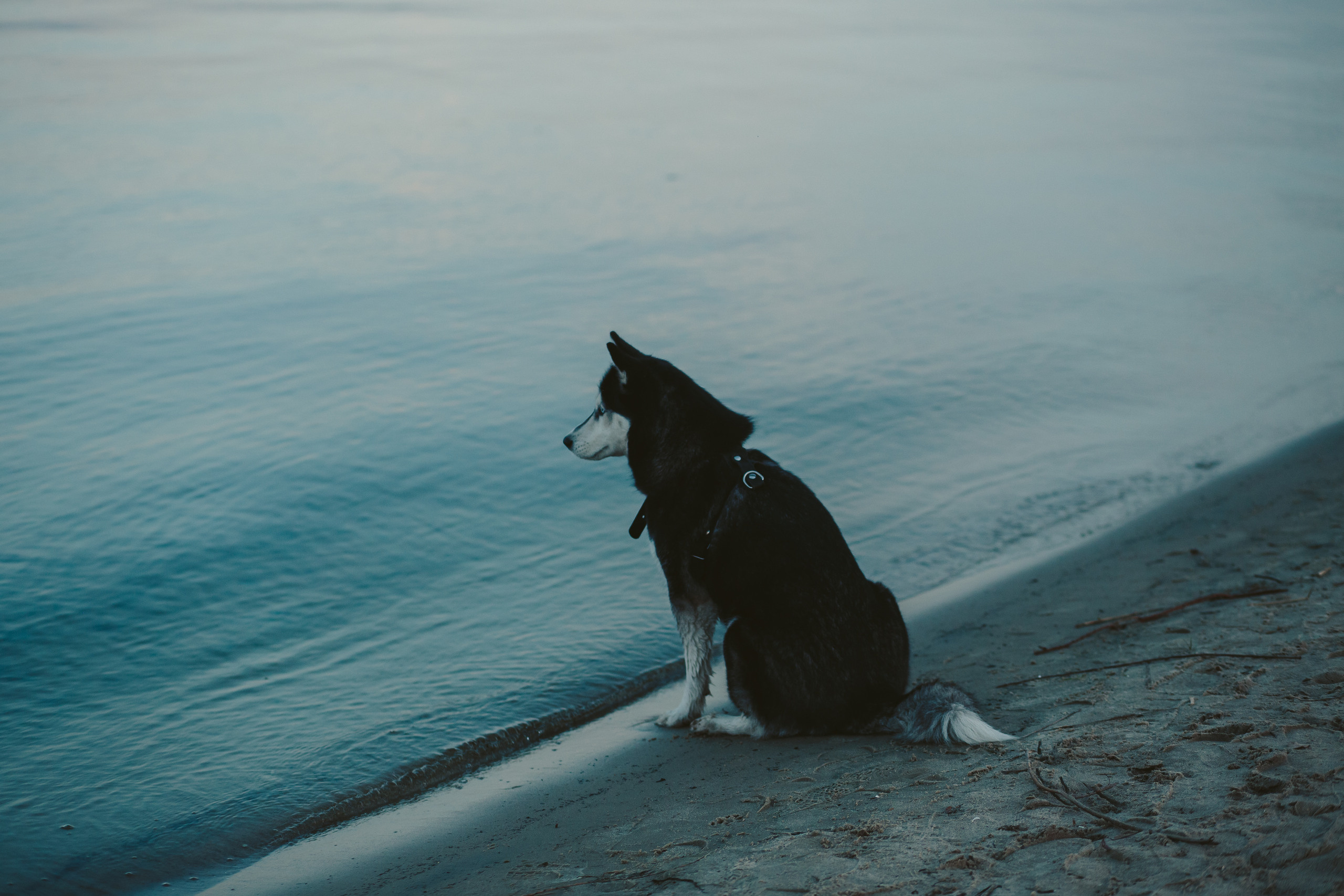 Дани и Настя. Фотограф в Дніпрі Марк Качуро