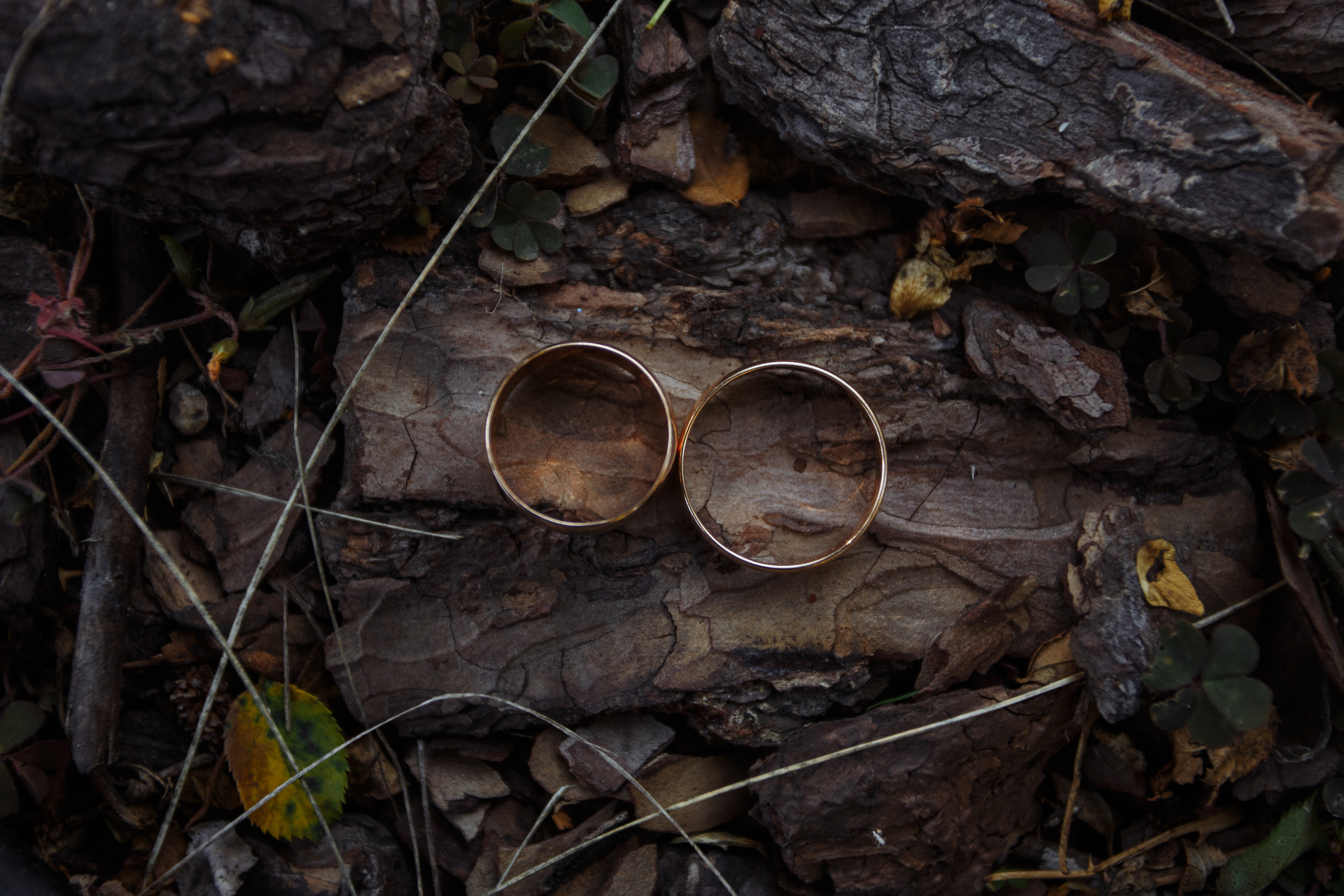 Свадьба Анны и Артема. Фотограф в Дніпрі Марк Качуро