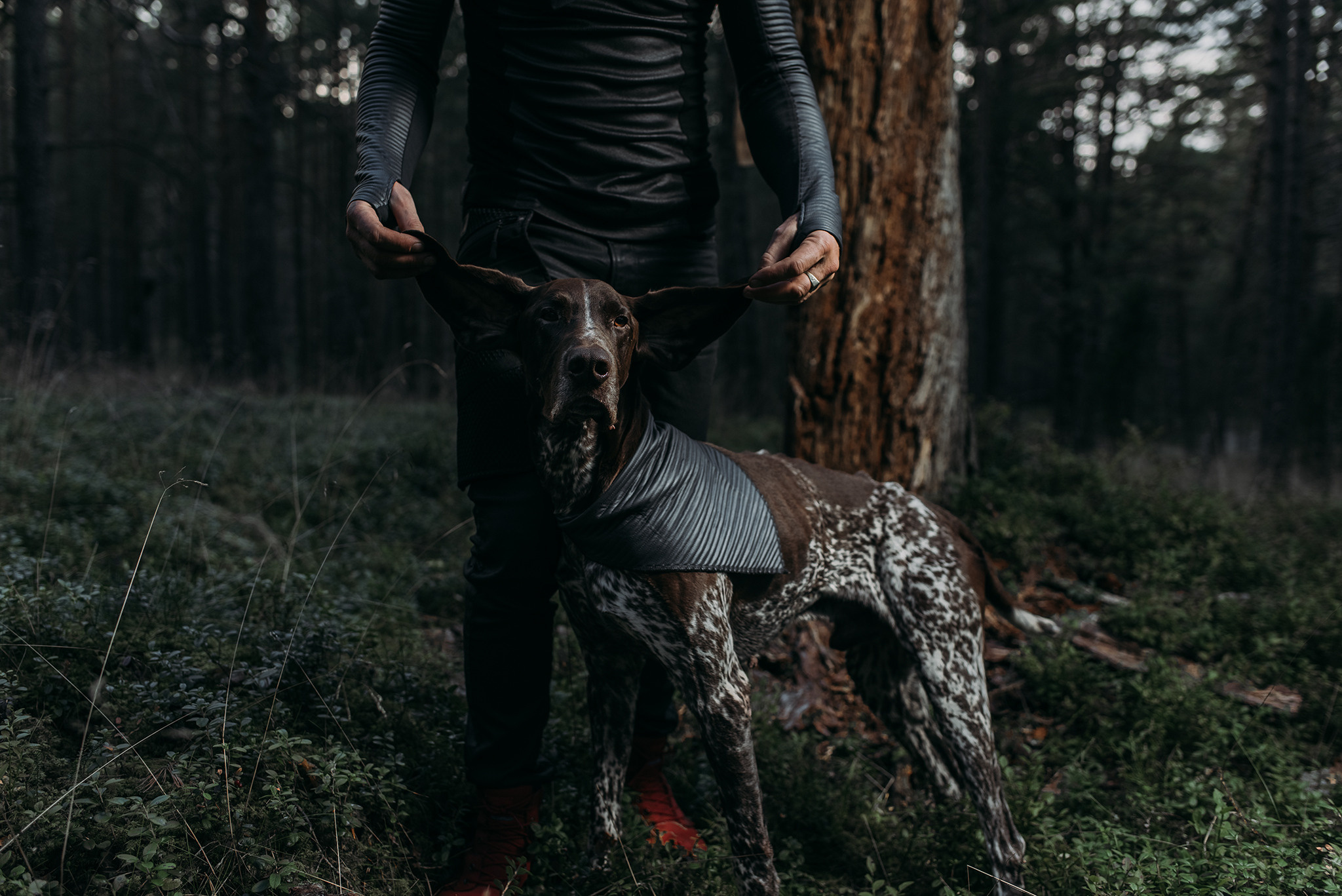 Woods. Product and Food photography