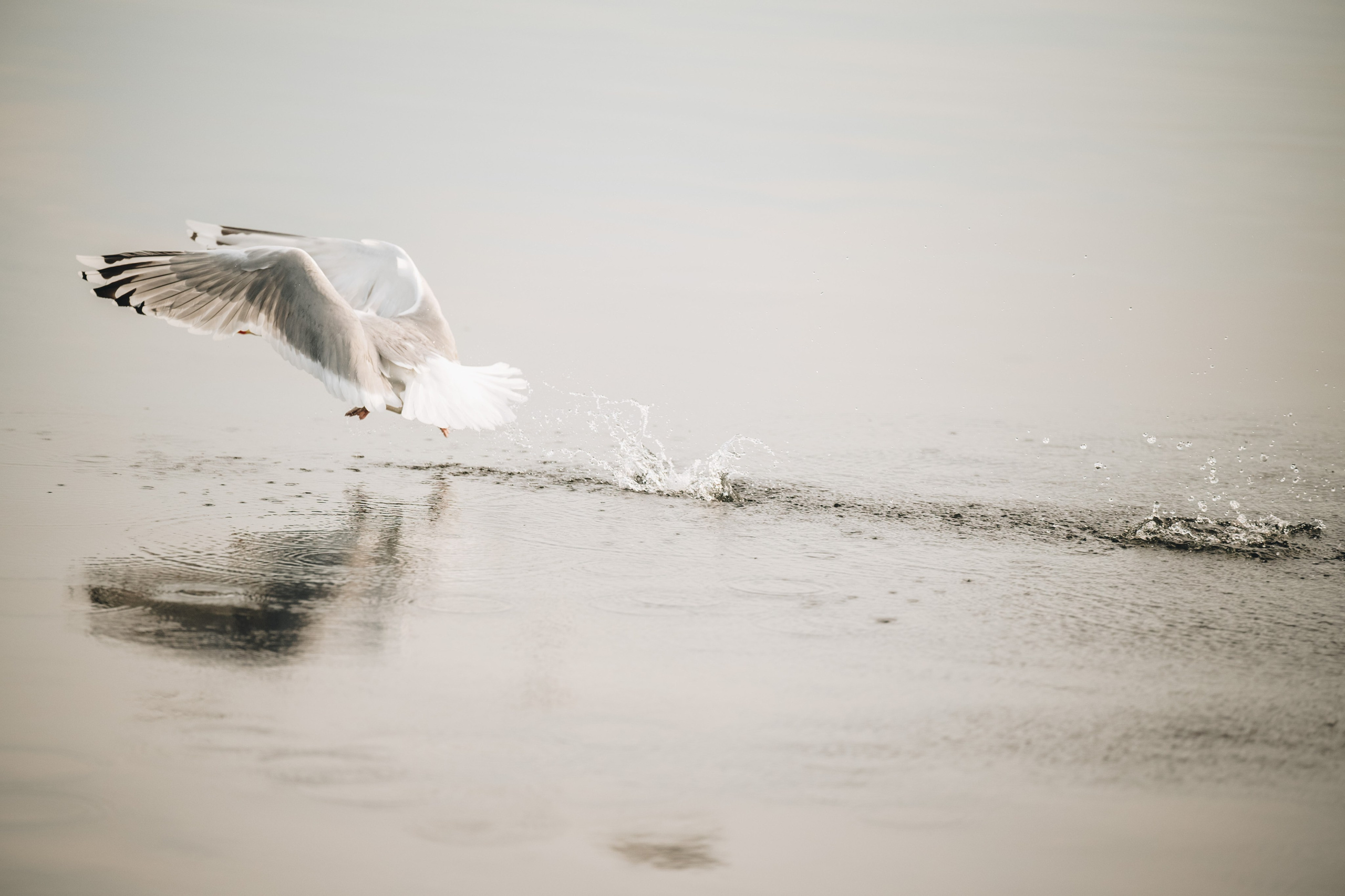 Carnikava fishing. Product and Food photography