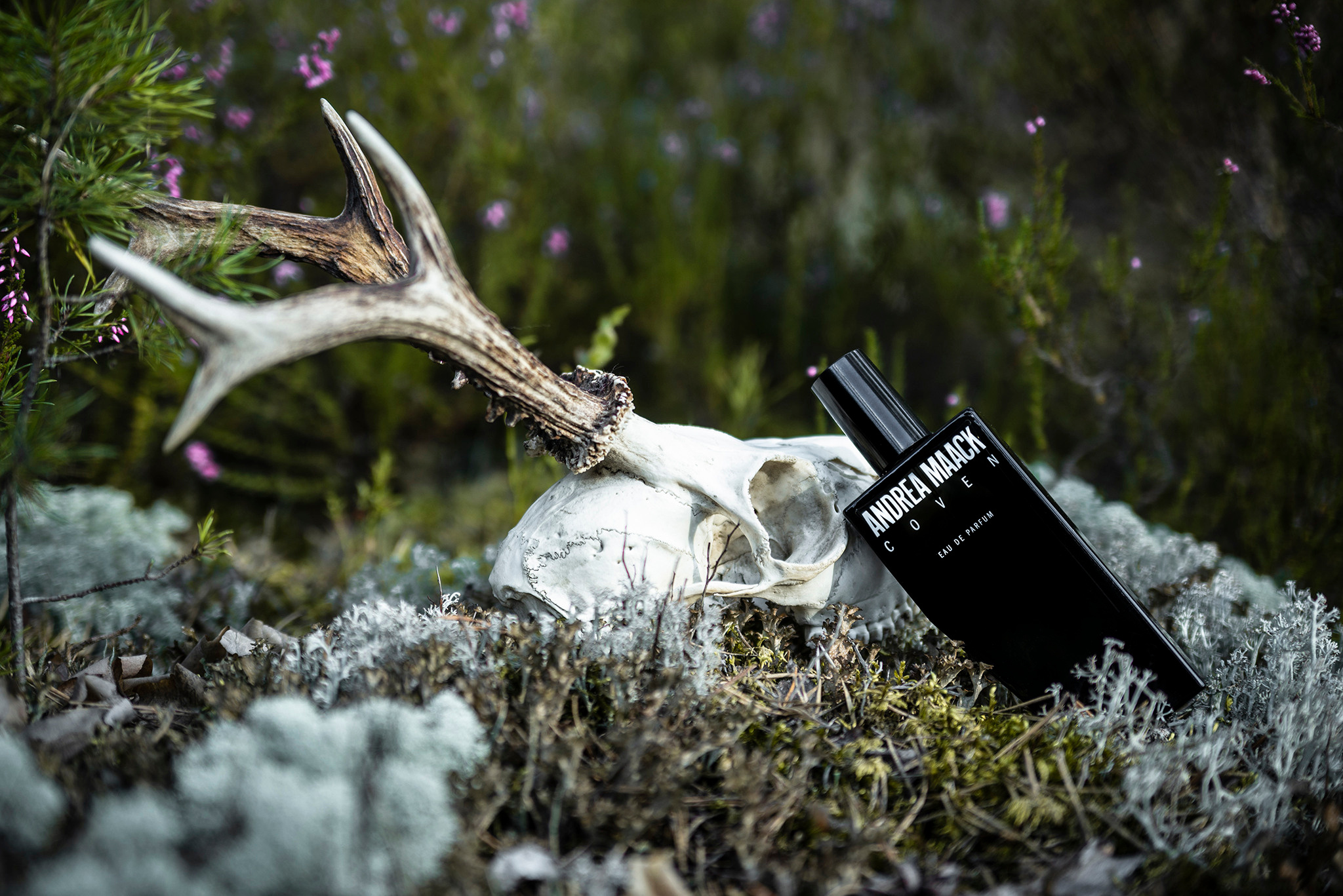 Cosmetic's. Product and Food photography