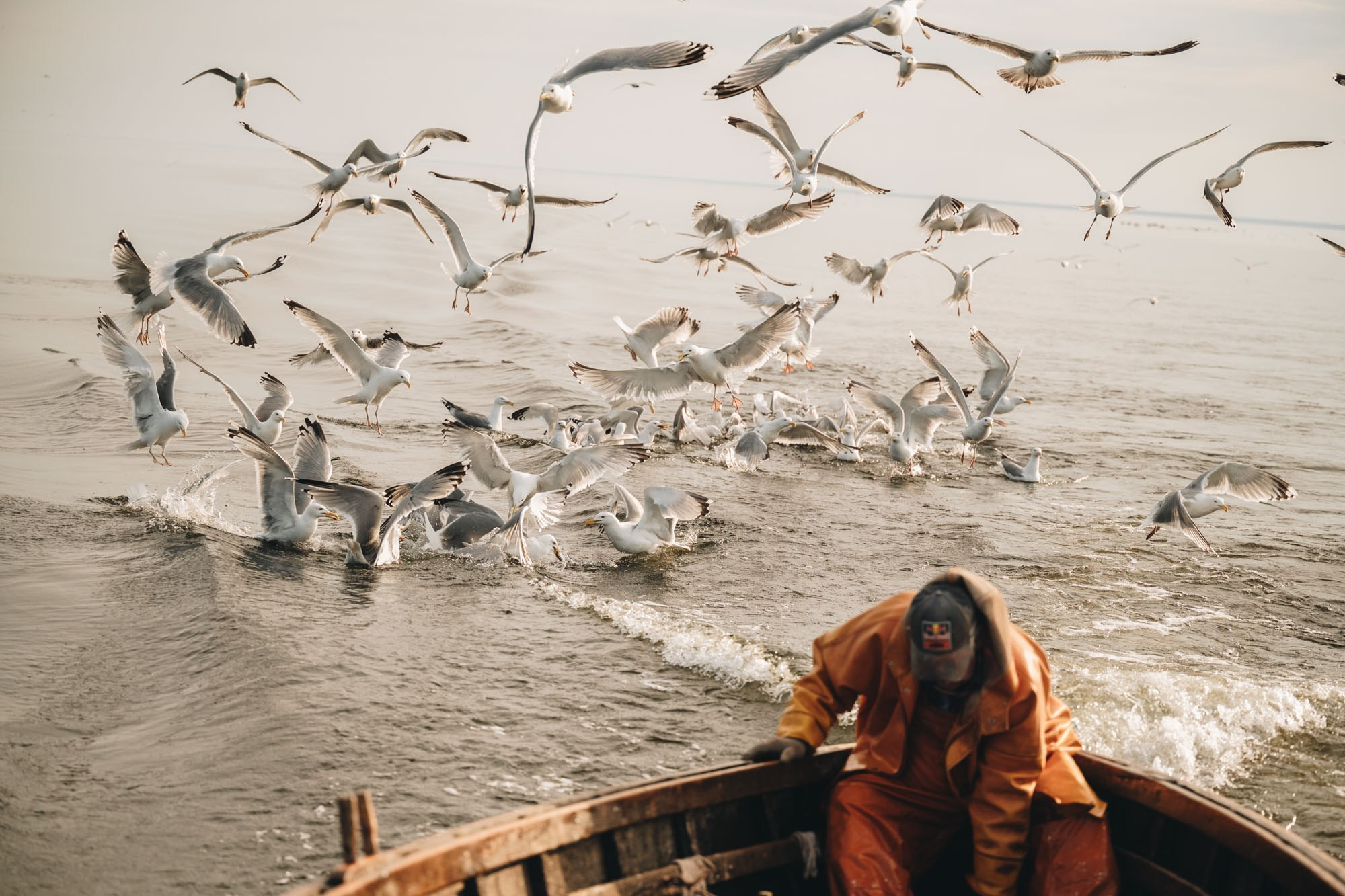 Carnikava fishing. Product and Food photography