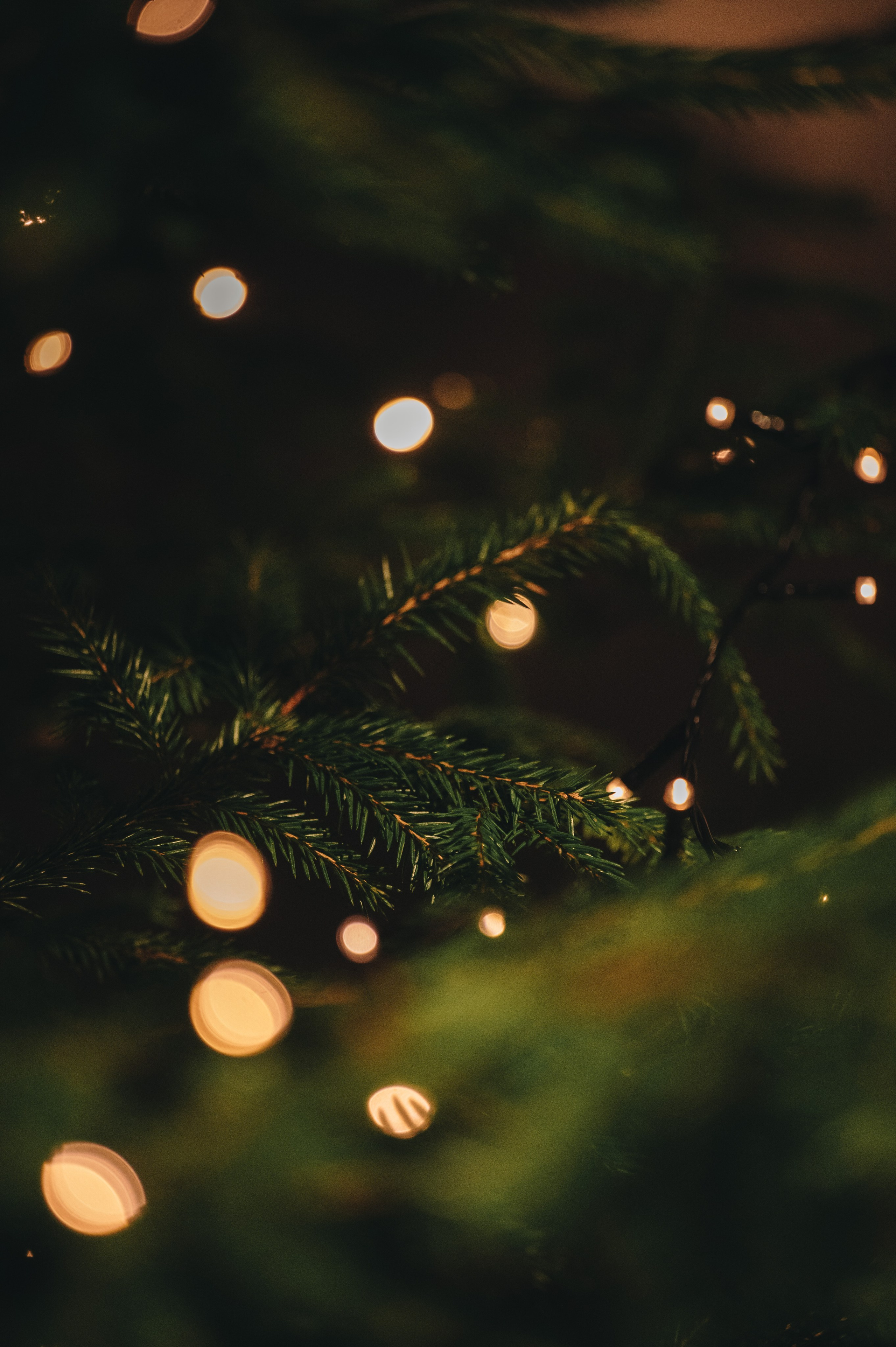 Product and Food photography