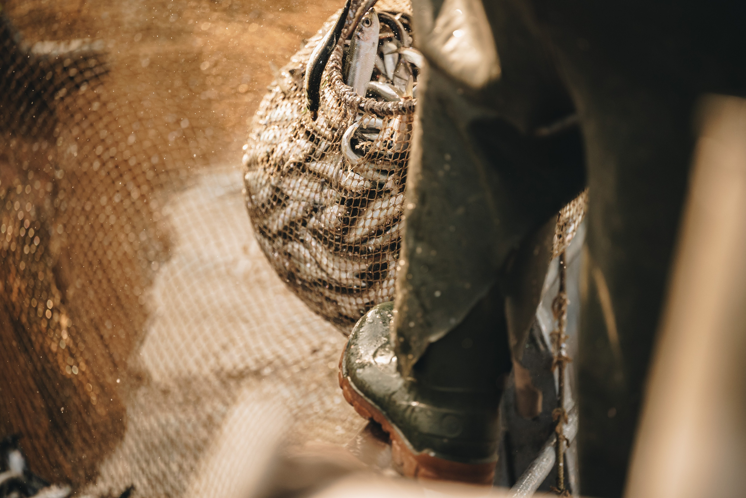 Carnikava fishing. Product and Food photography