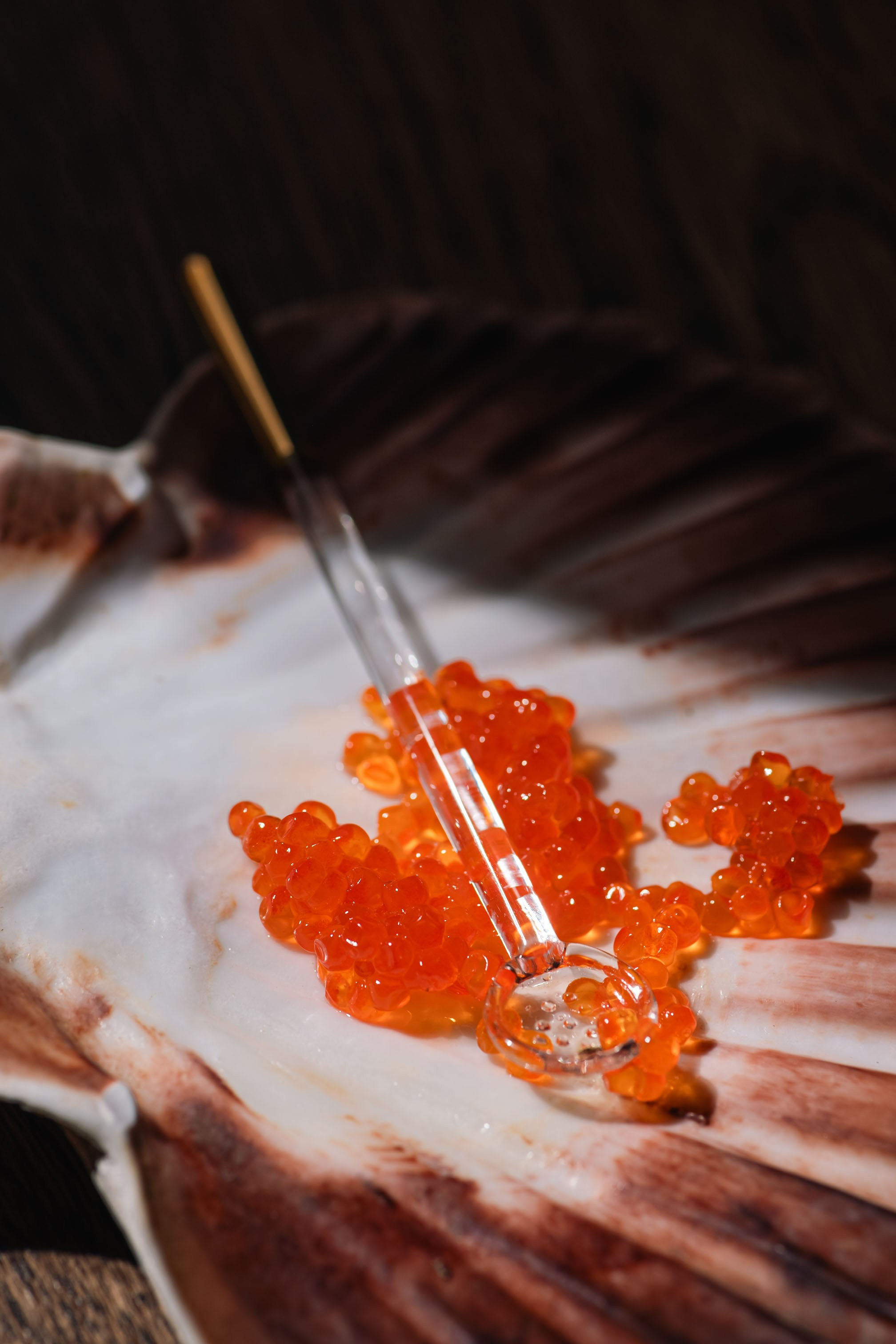 Caviar project. Product and Food photography