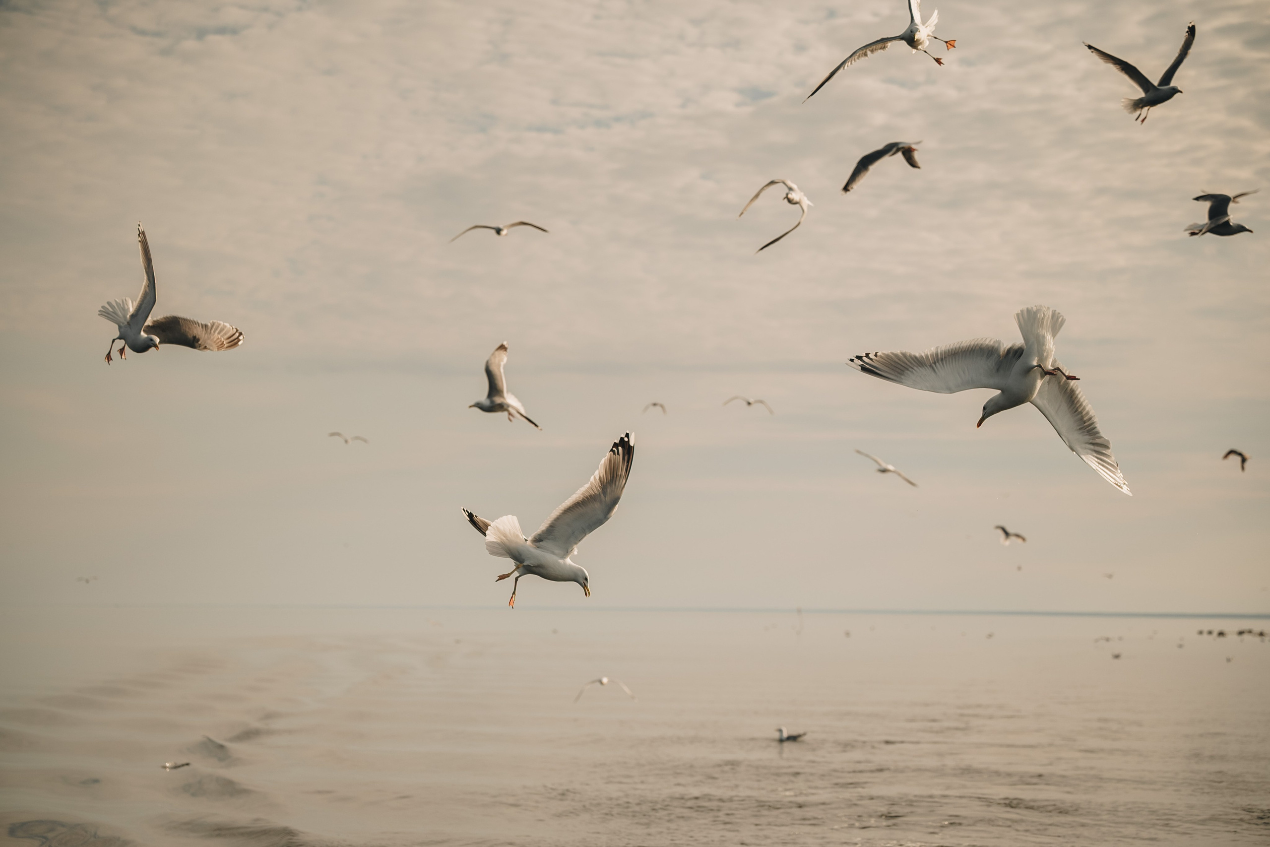 Carnikava fishing. Product and Food photography