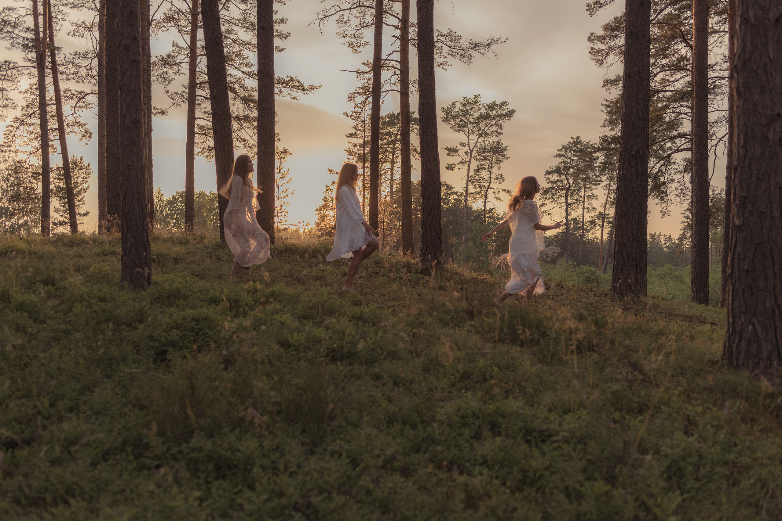 Solstice. Product and Food photography