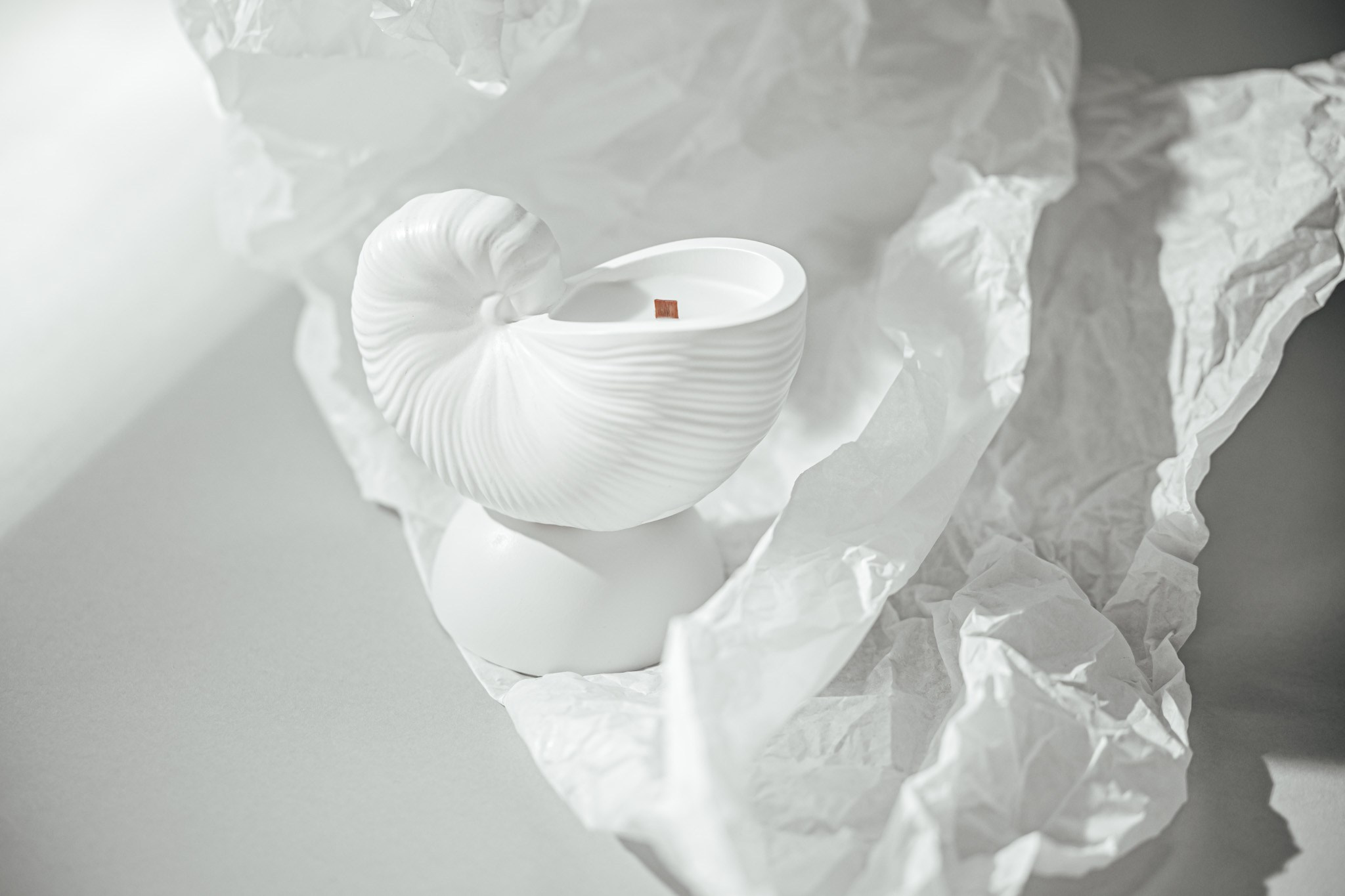 Nautilus candle. Product and Food photography