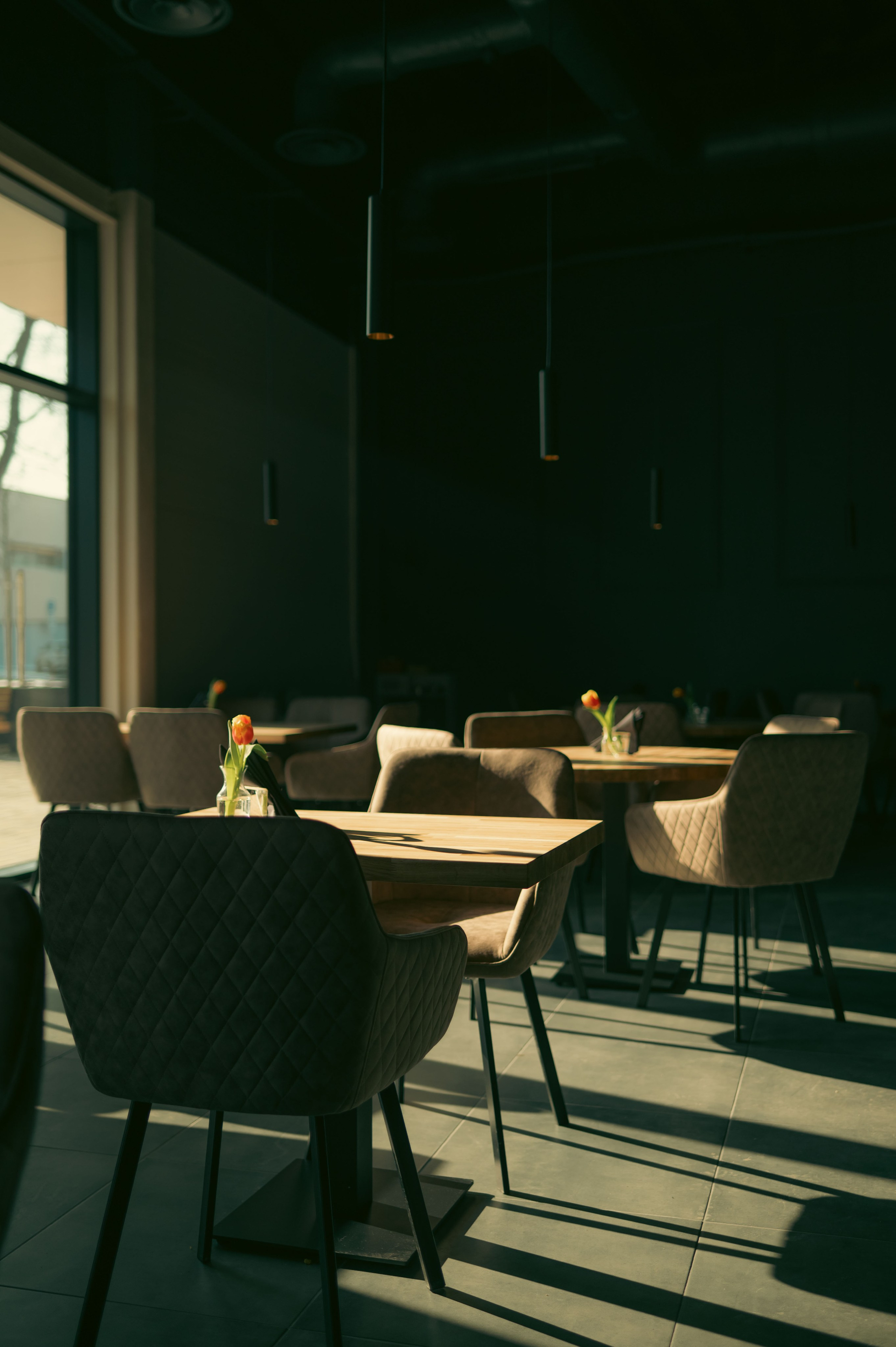 Virtello Carnikava. Product and Food photography