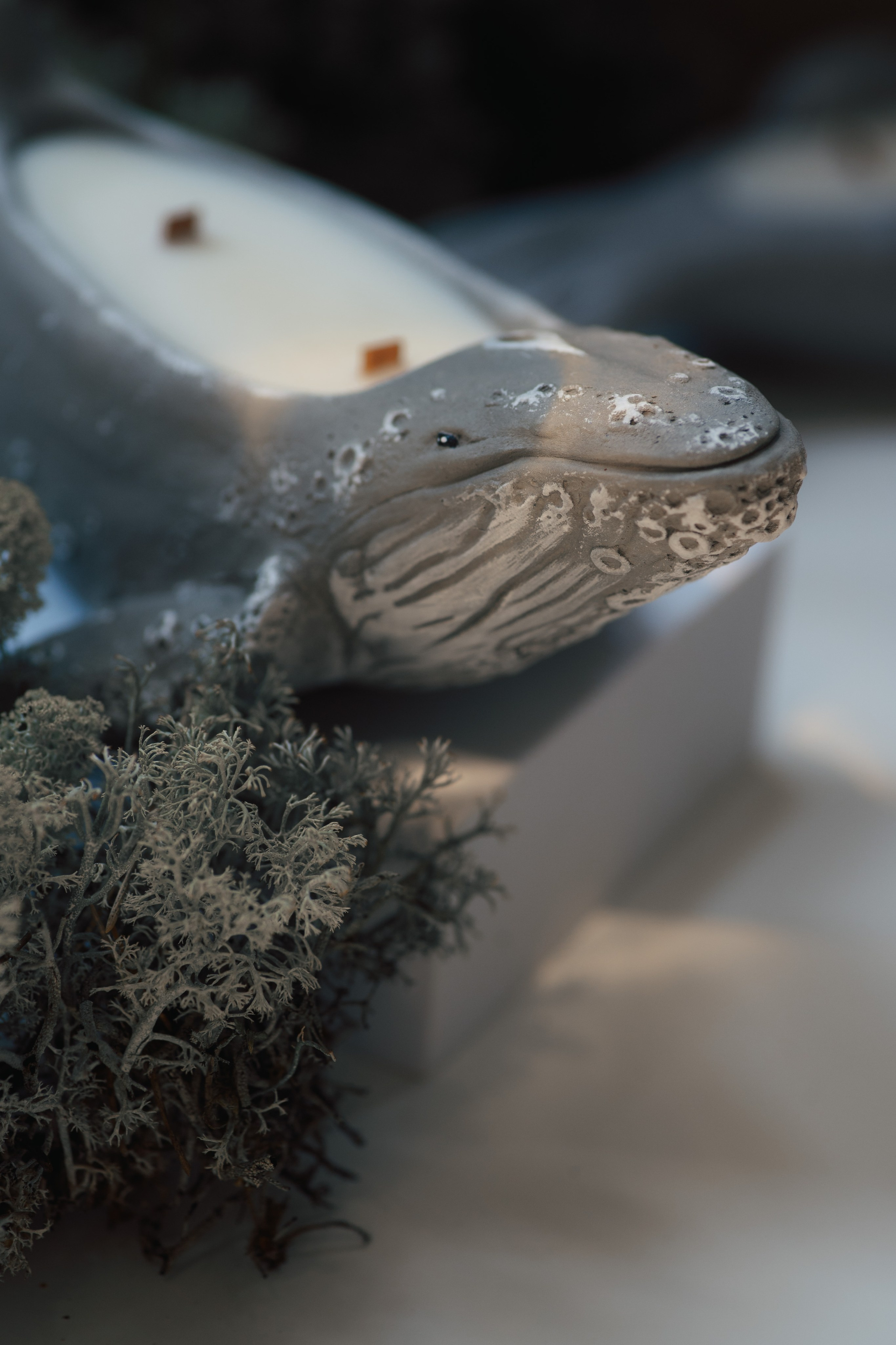 11.sparks candles. Product and Food photography