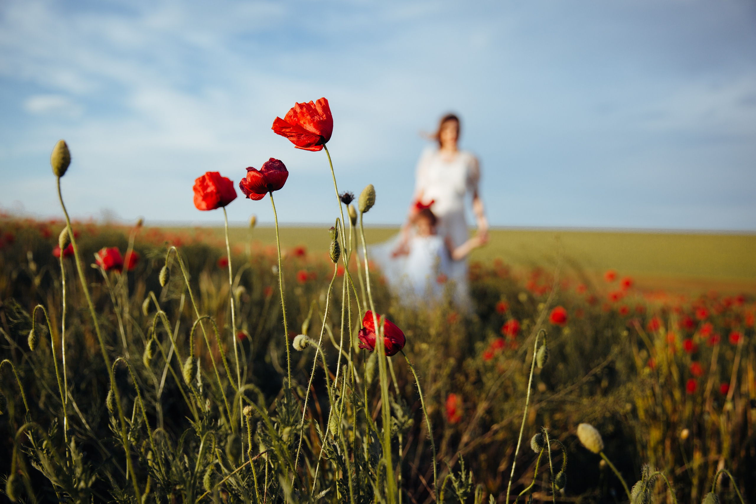 Ședințe foto de familie. Fotograf de nuntă și evenimente private!
