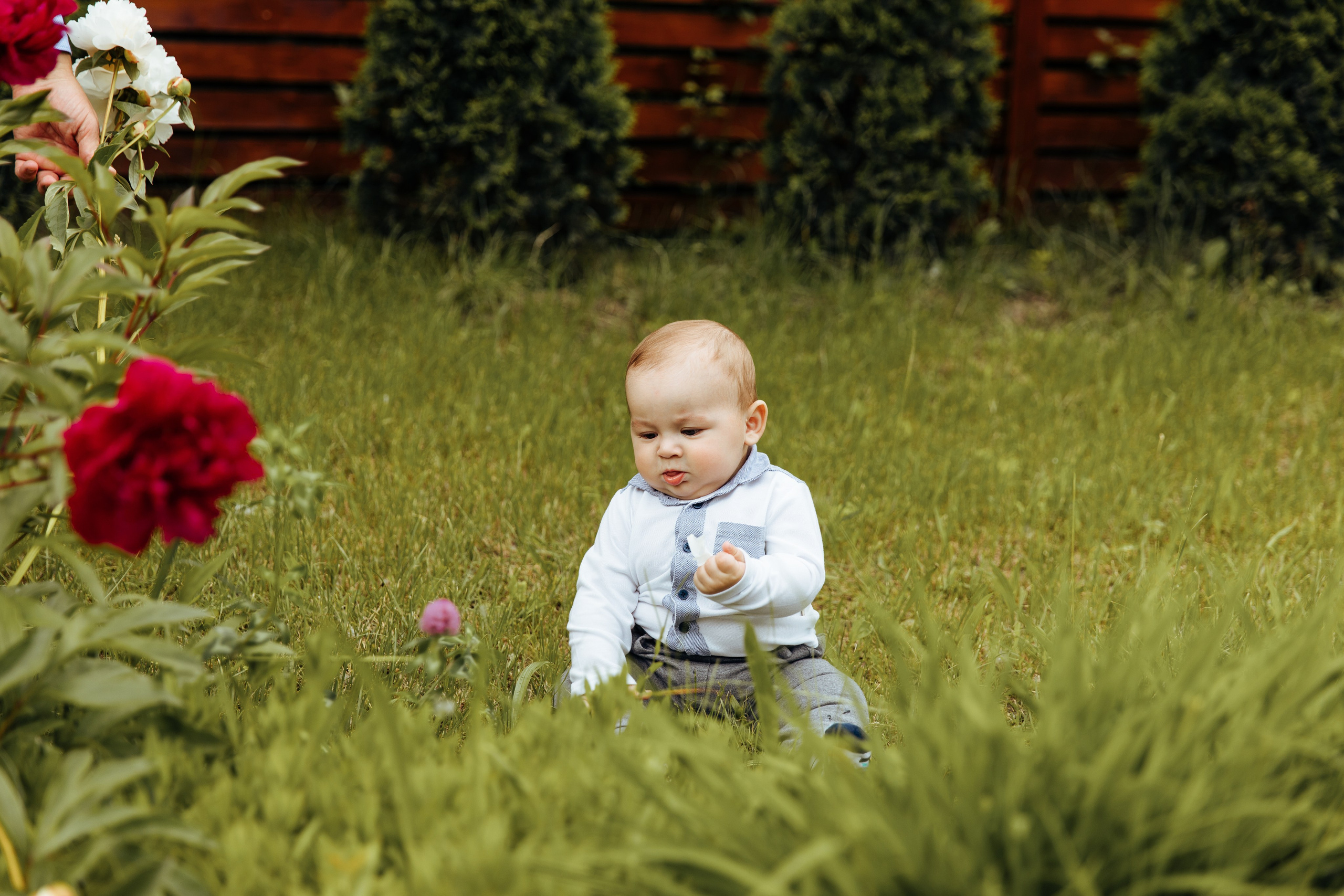 Botez Bogdan. Fotograf de nuntă și evenimente private!