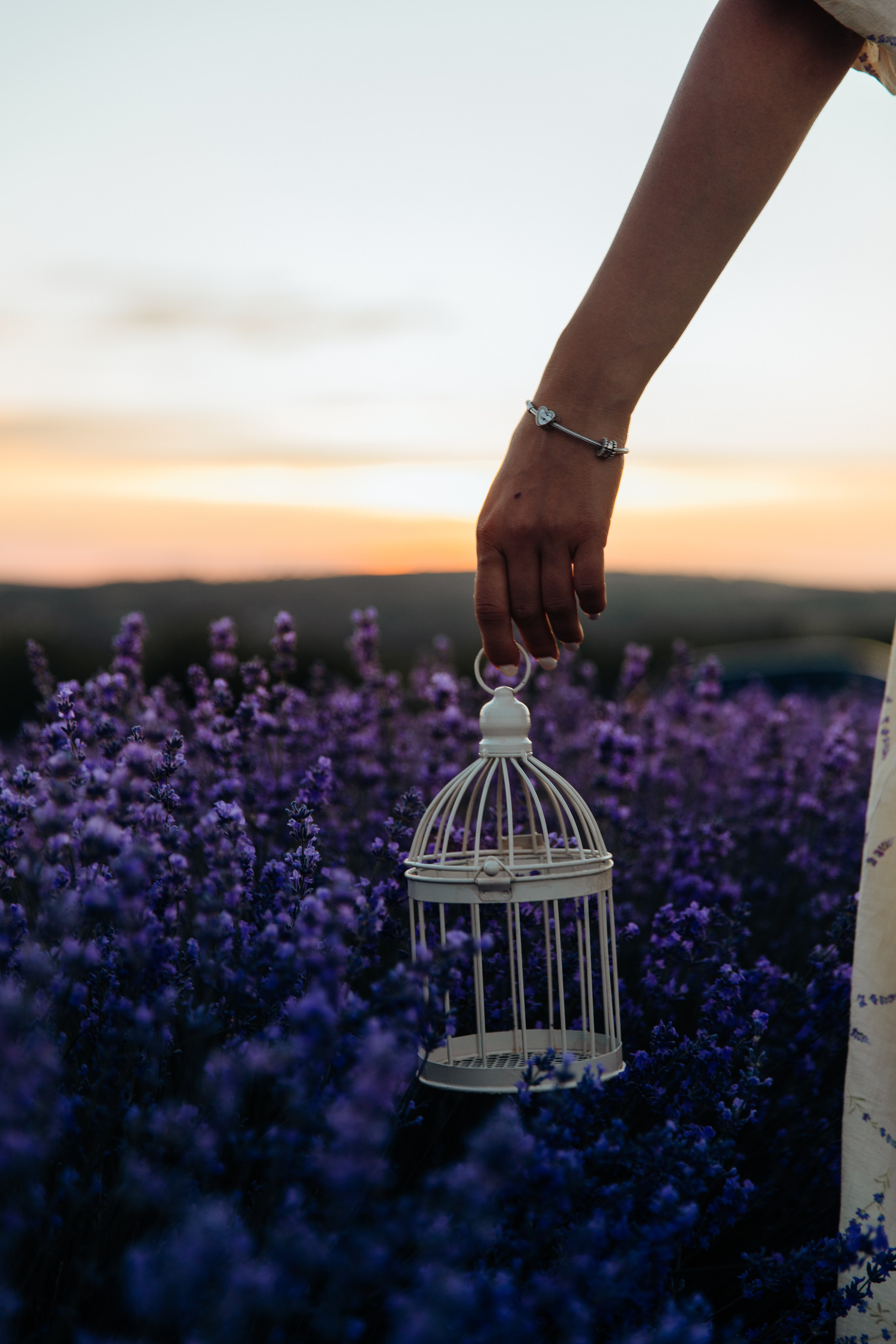 Ședința foto de cuplu. Fotograf de nuntă și evenimente private!