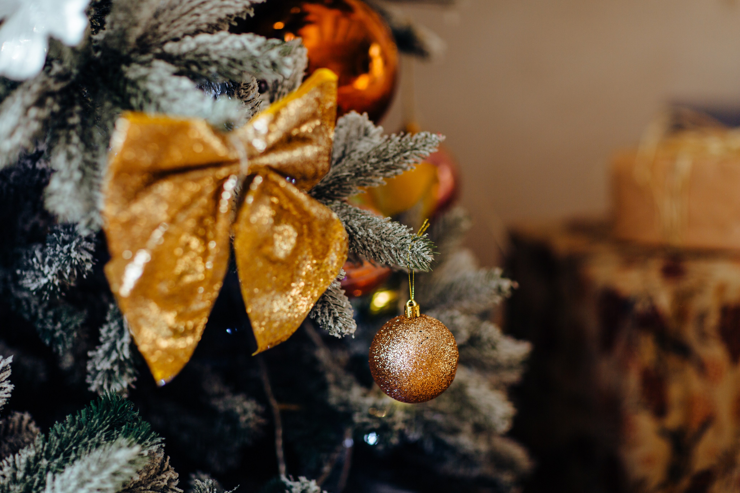 Magia sarbātorilor. Fotograf de nuntă și evenimente private!