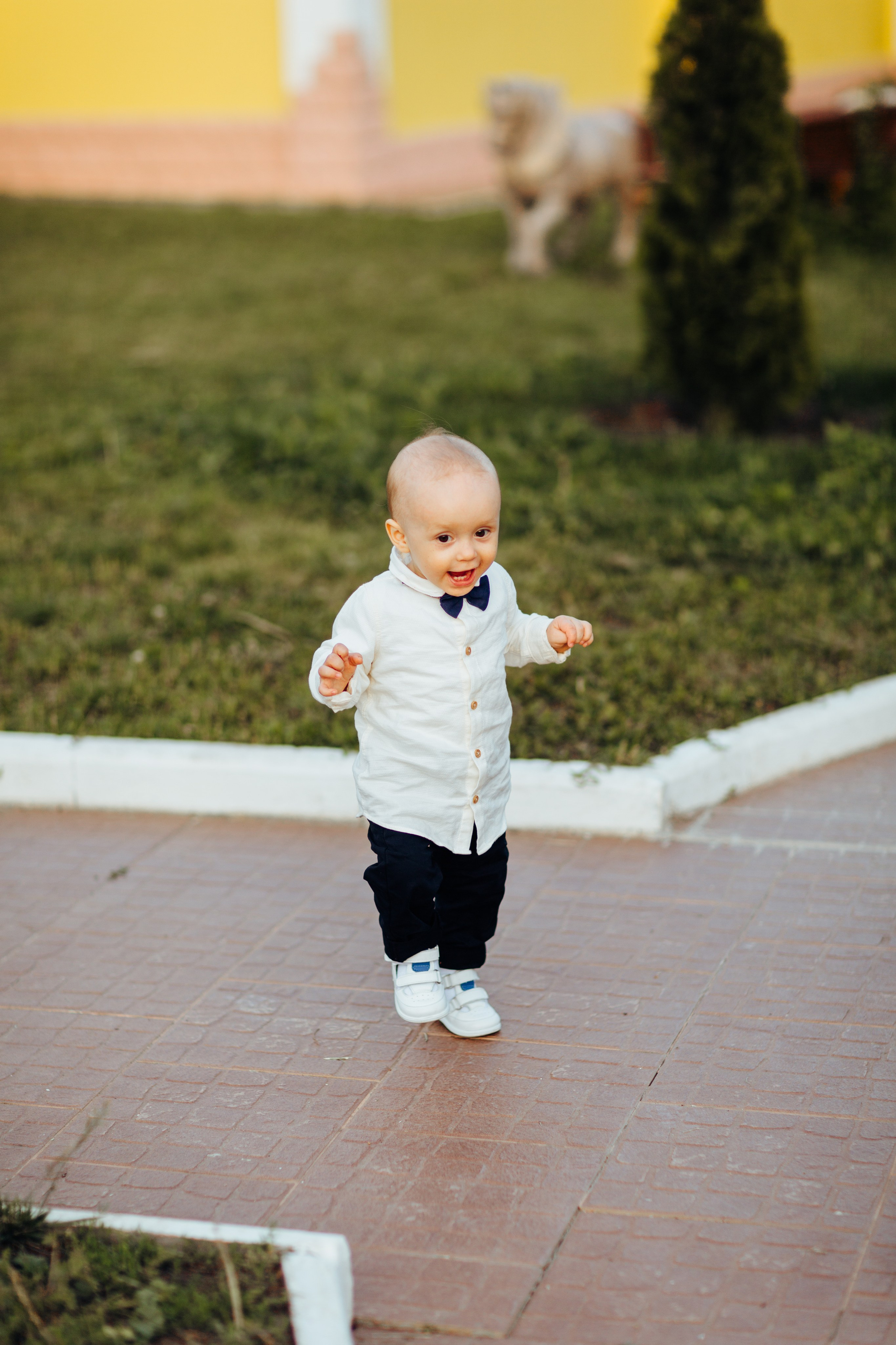 Ionel-Alessandro. Fotograf de nuntă și evenimente private!