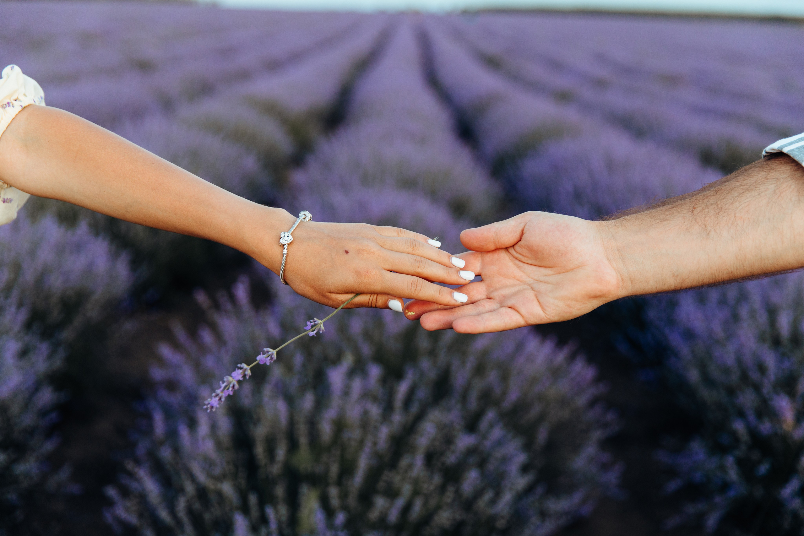 Ședința foto de cuplu. Fotograf de nuntă și evenimente private!