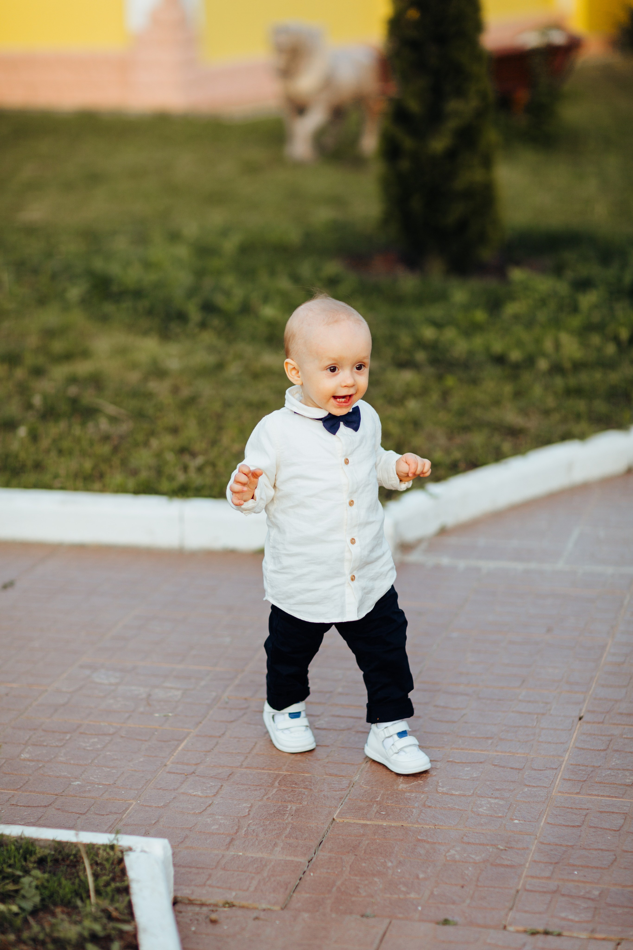 Ionel-Alessandro. Fotograf de nuntă și evenimente private!