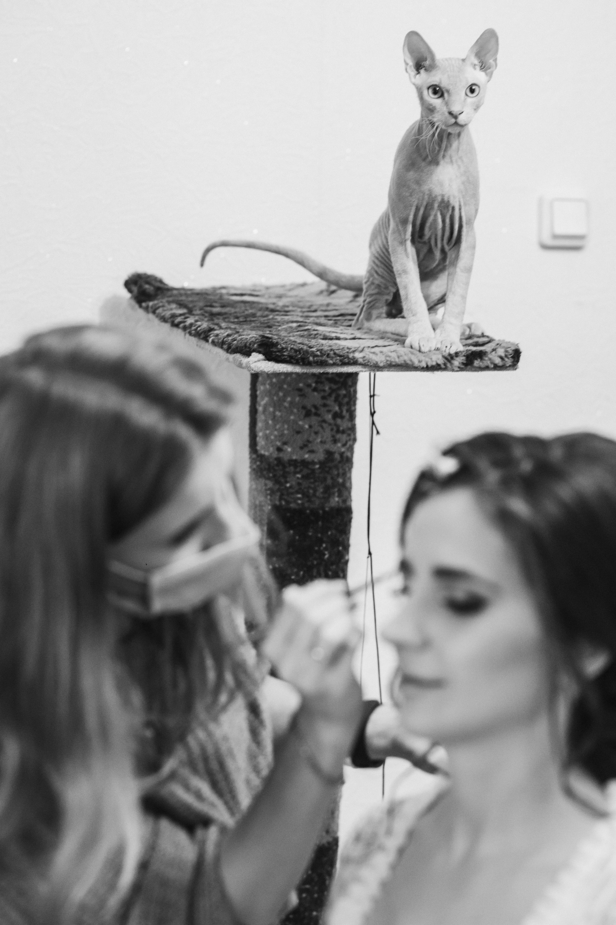 Dima & Julia. Hochzeitsfotograf in Nürnberg, Bamberg, Deutschland