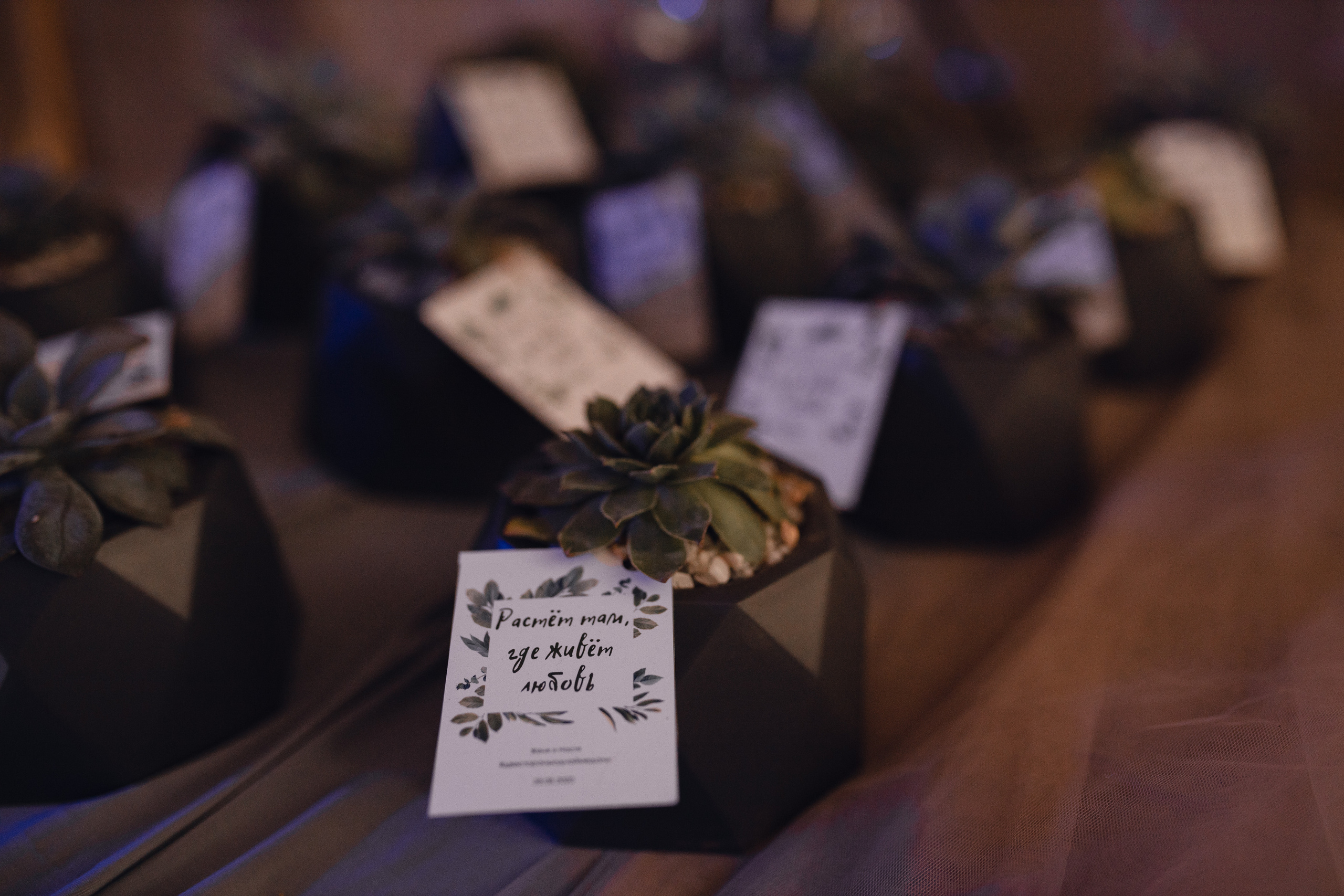 Eugen und Anastasia. Hochzeitsfotograf in Nürnberg, Bamberg, Deutschland