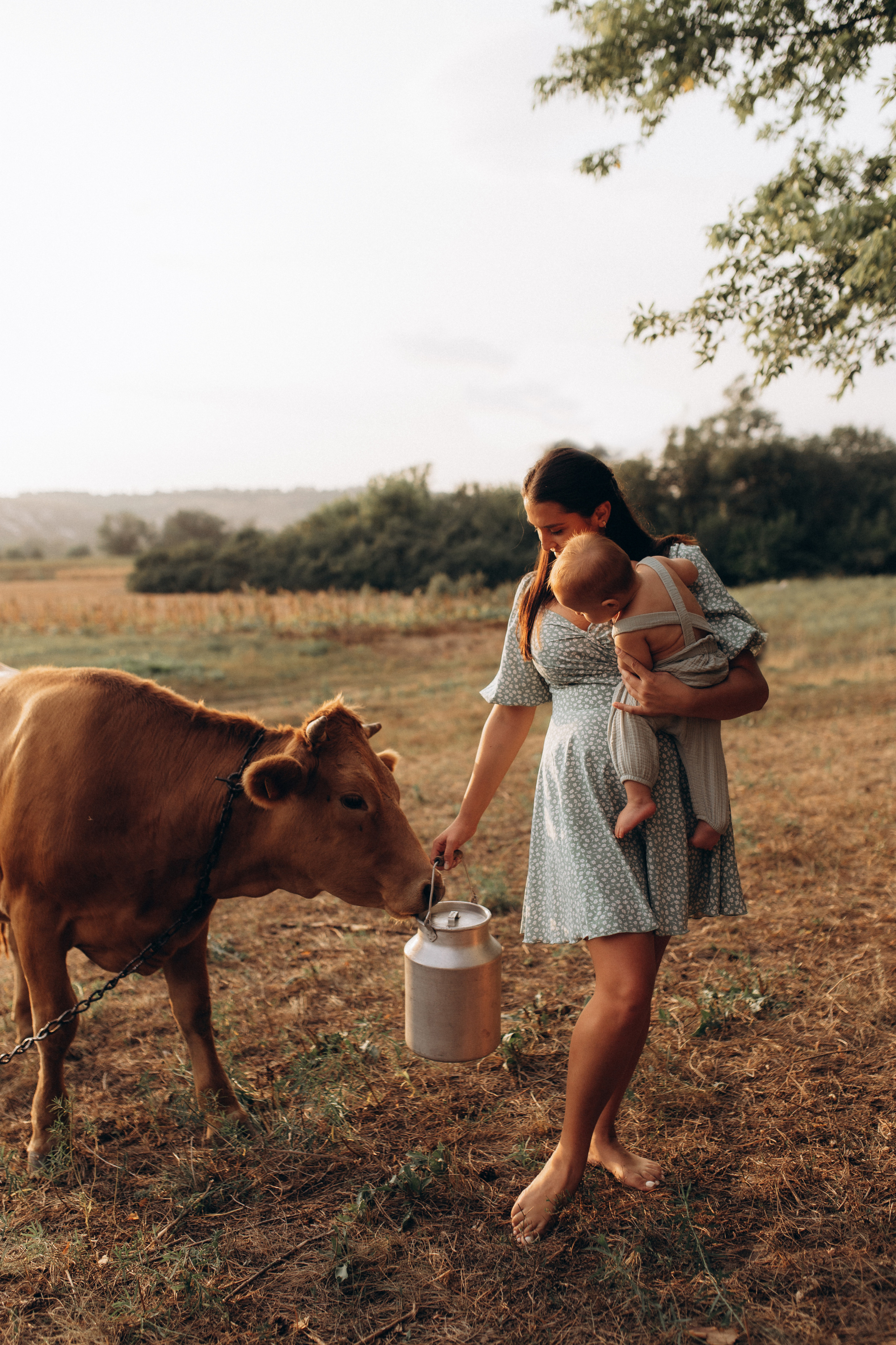Abend im Dorf. Hochzeitsfotograf in Nürnberg, Bamberg, Deutschland