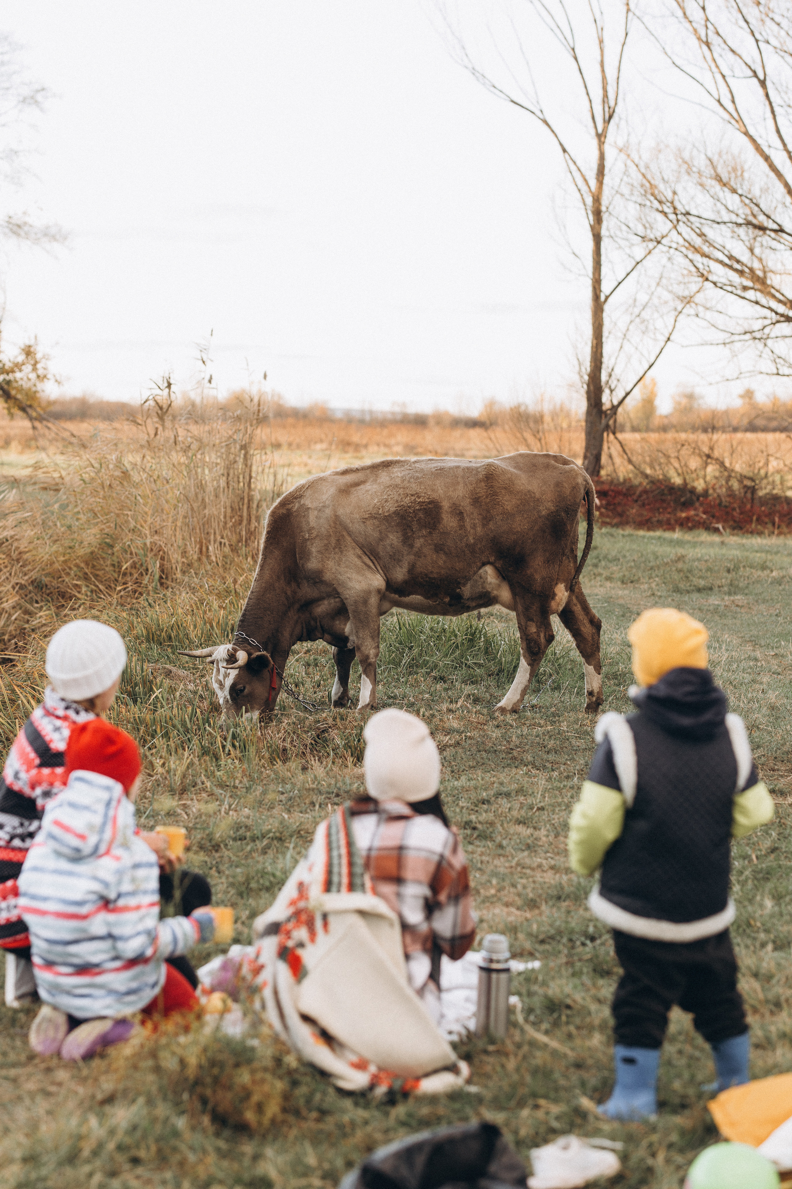 Herbstspaziergang am Fluss. Hochzeitsfotograf in Nürnberg, Bamberg, Deutschland