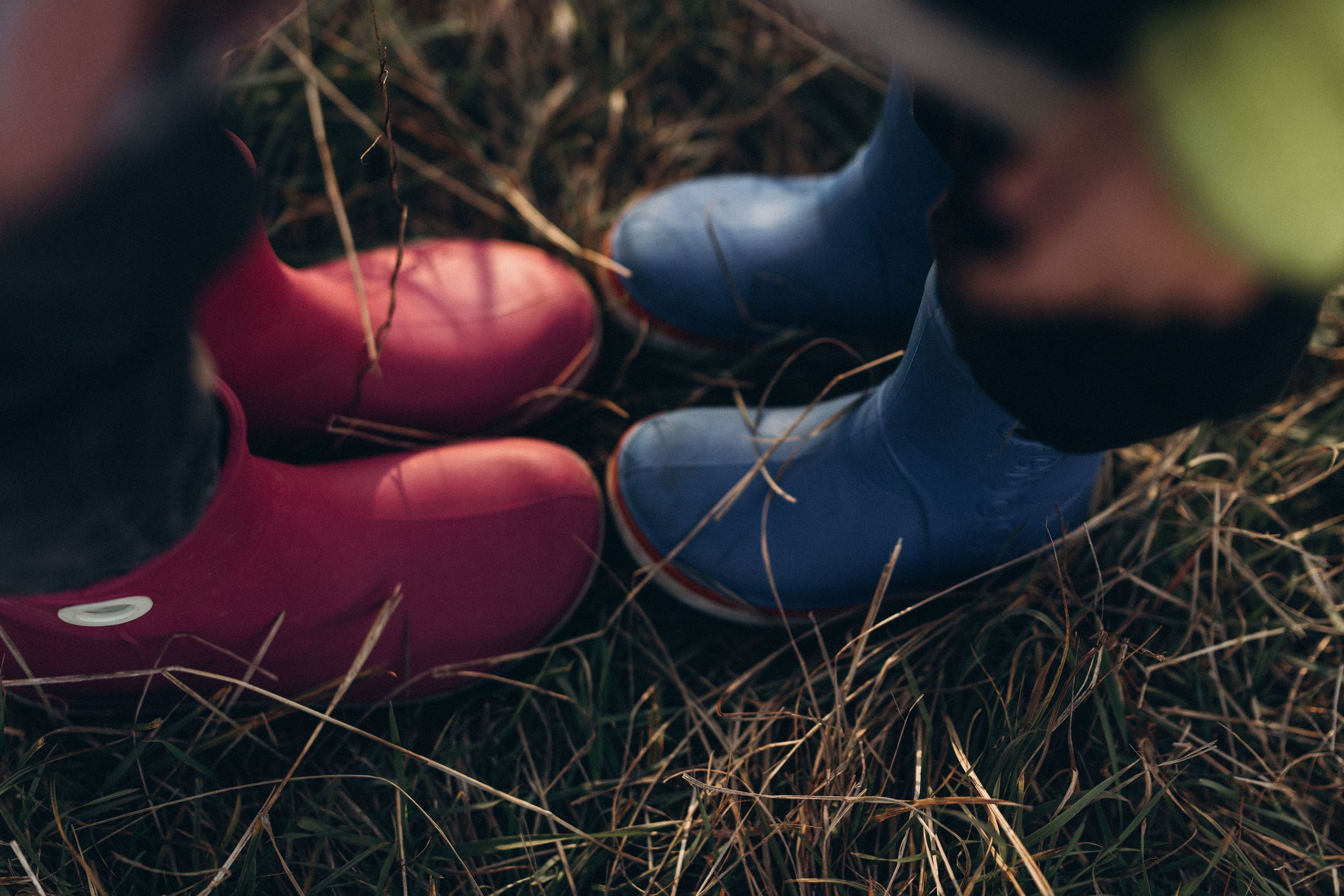 Herbstspaziergang am Fluss. Hochzeitsfotograf in Nürnberg, Bamberg, Deutschland