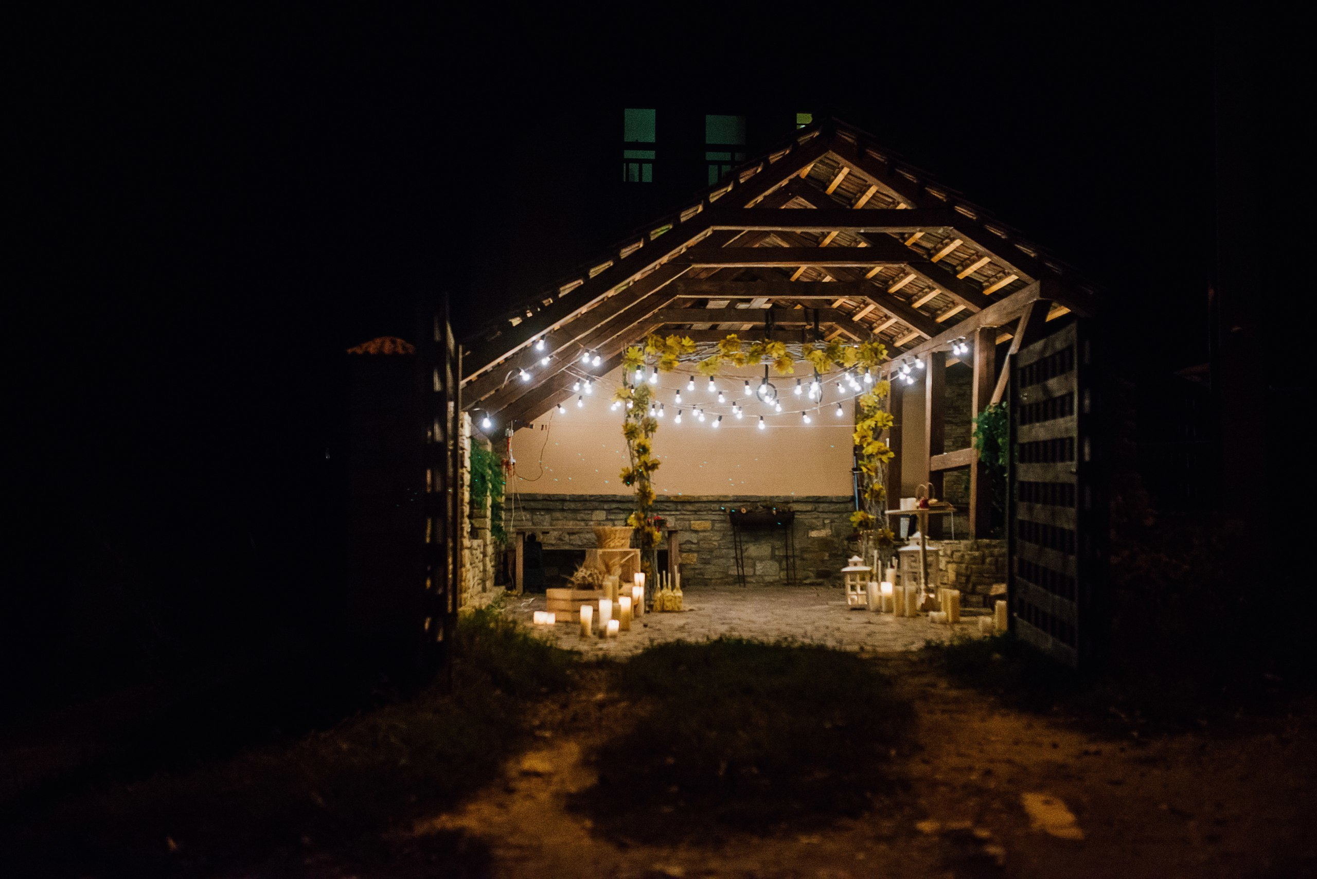 Два кота він та вона. Весільний фотограф Цимбалюк Микола Луцьк