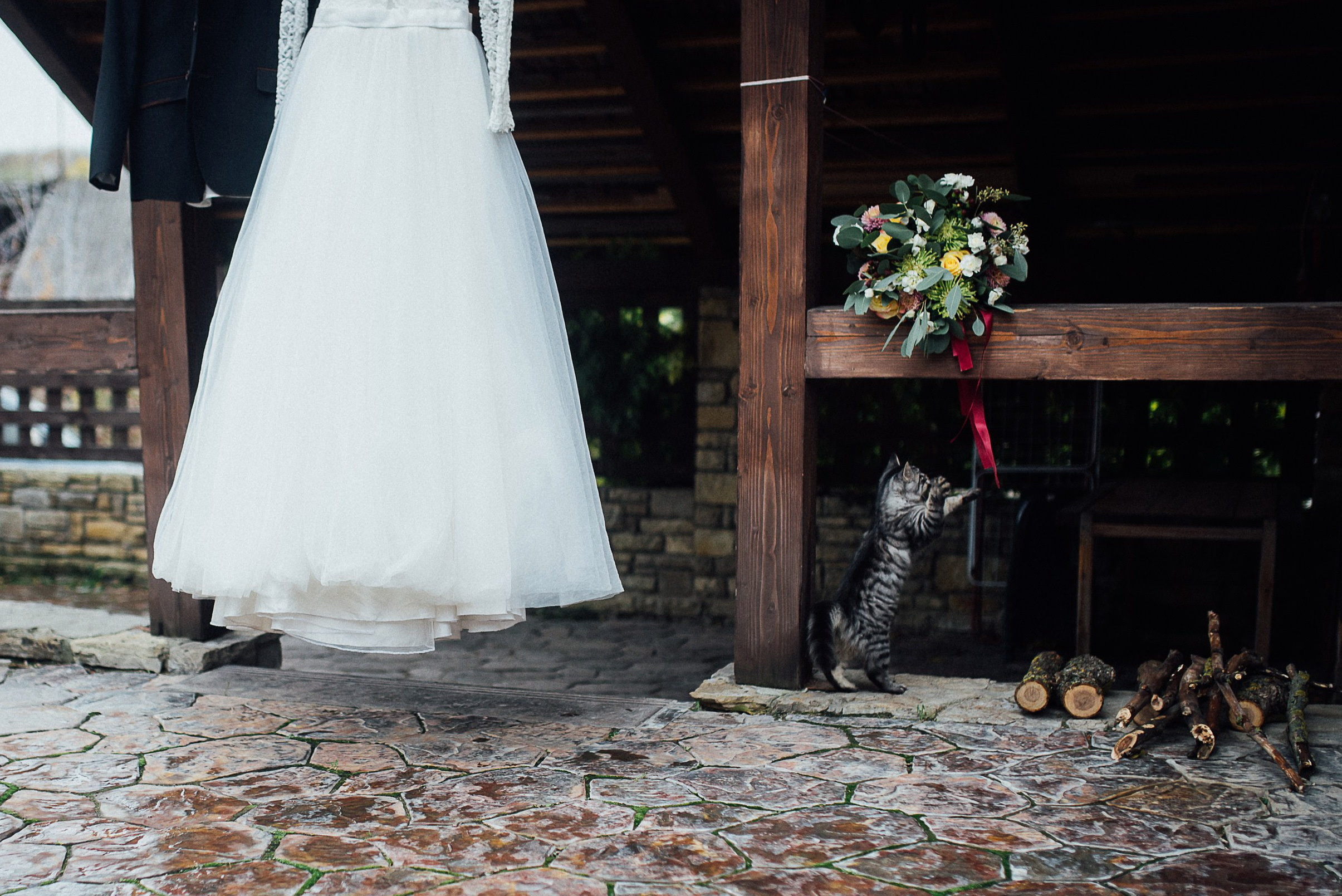 Два кота він та вона. Весільний фотограф Цимбалюк Микола Луцьк